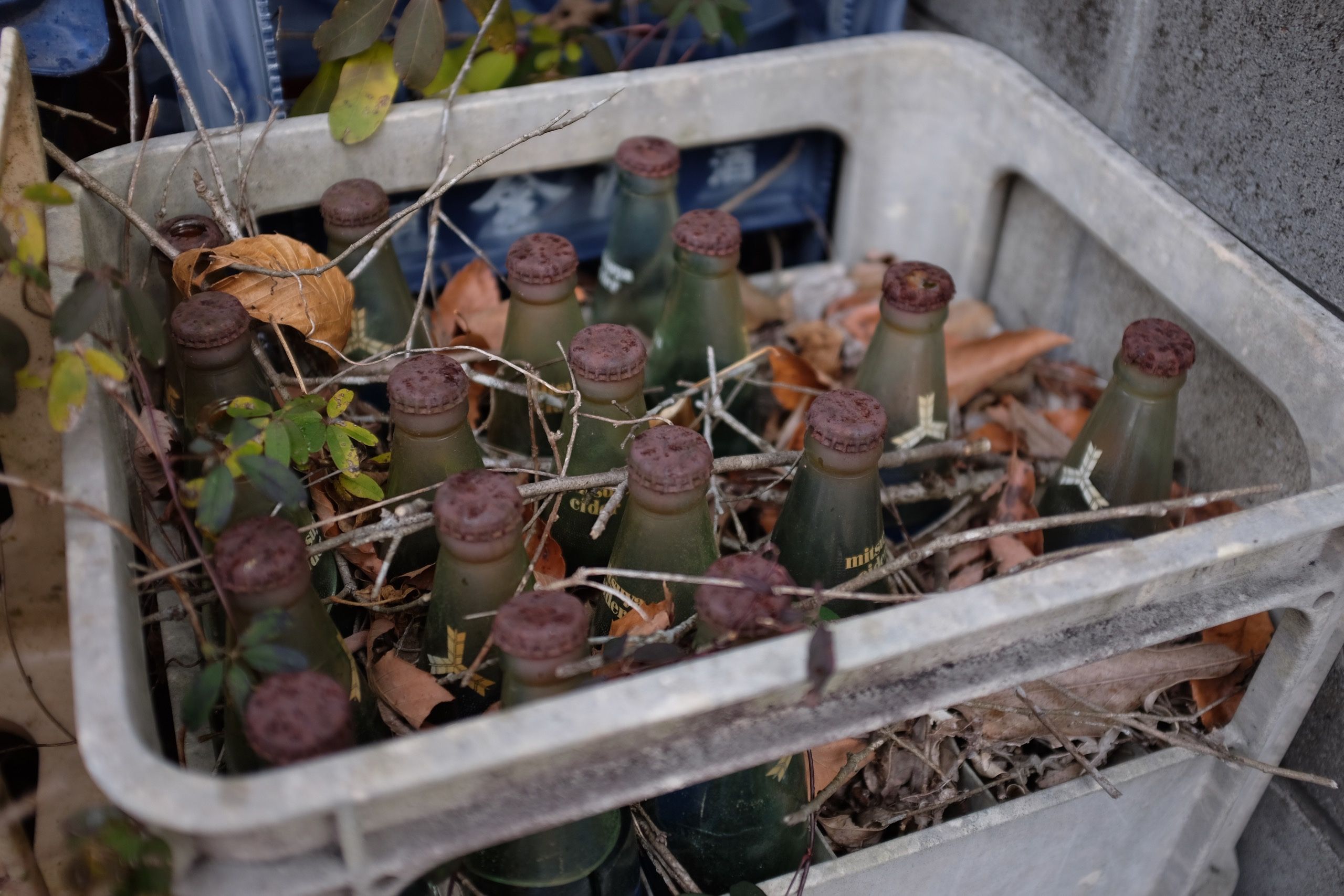 A crate of soft drinks with bottle caps rusted through and covered in twigs.
