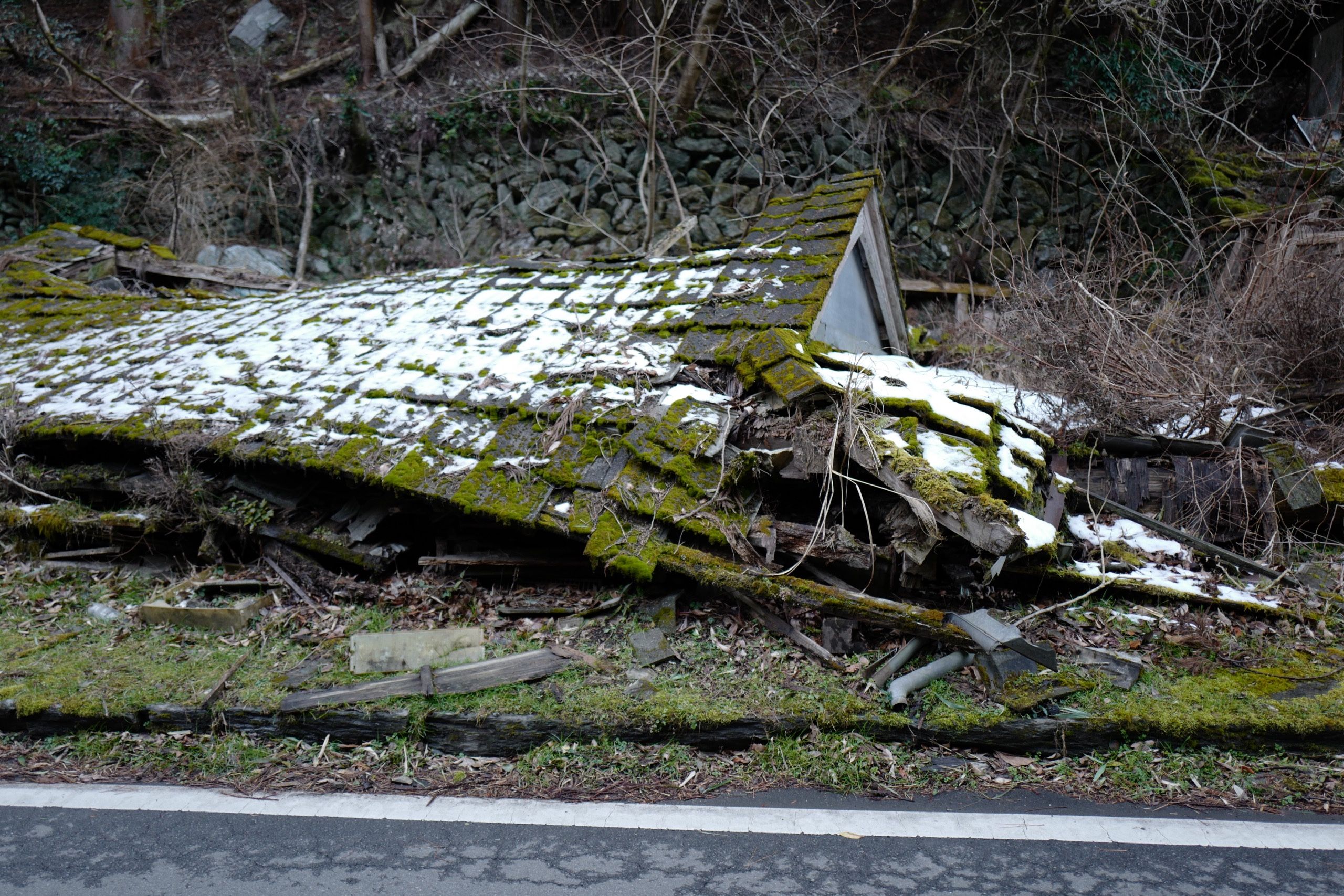 The snow- and moss-covered roof of a collapsed house.