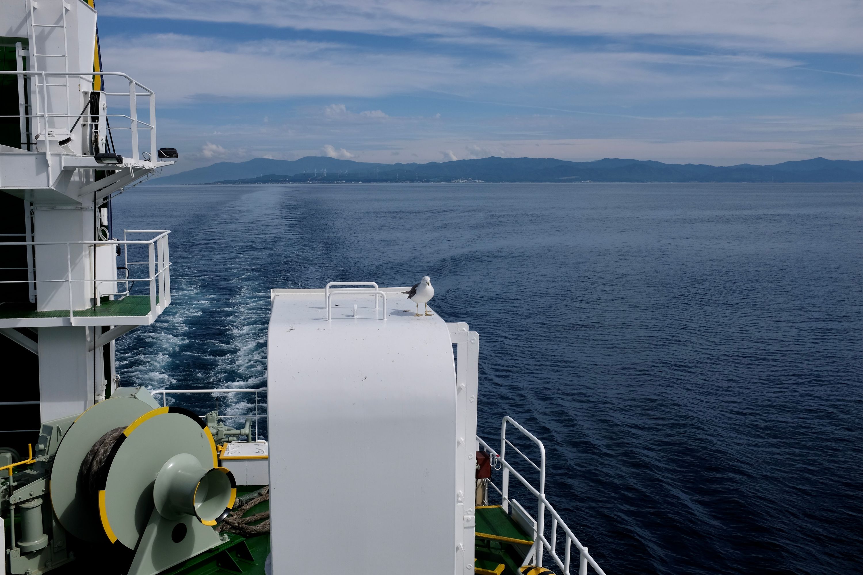 A seagull stands on a ship as it draws away from Honshu.