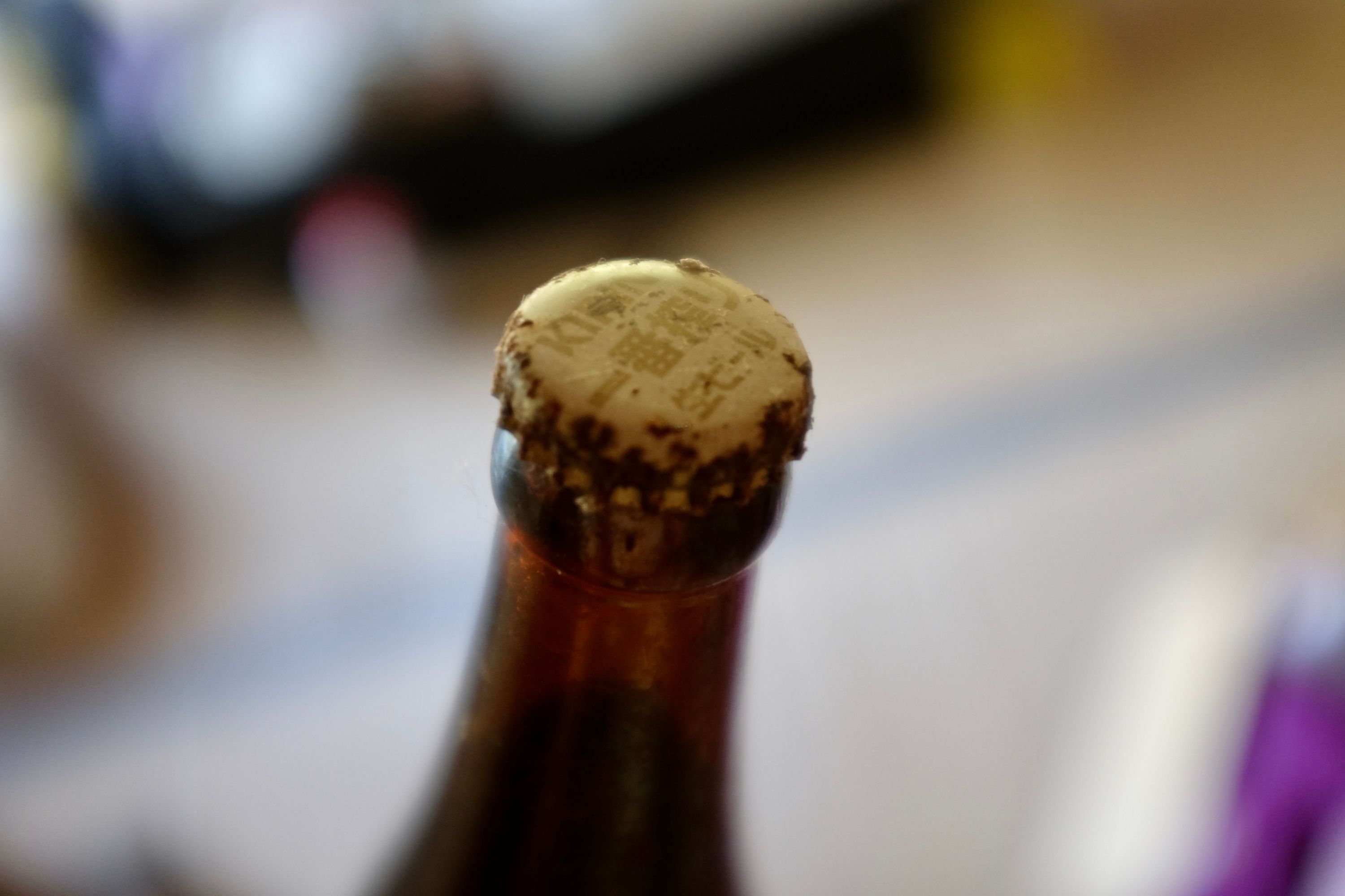 An unopened bottle of beer with its cap rusted through.