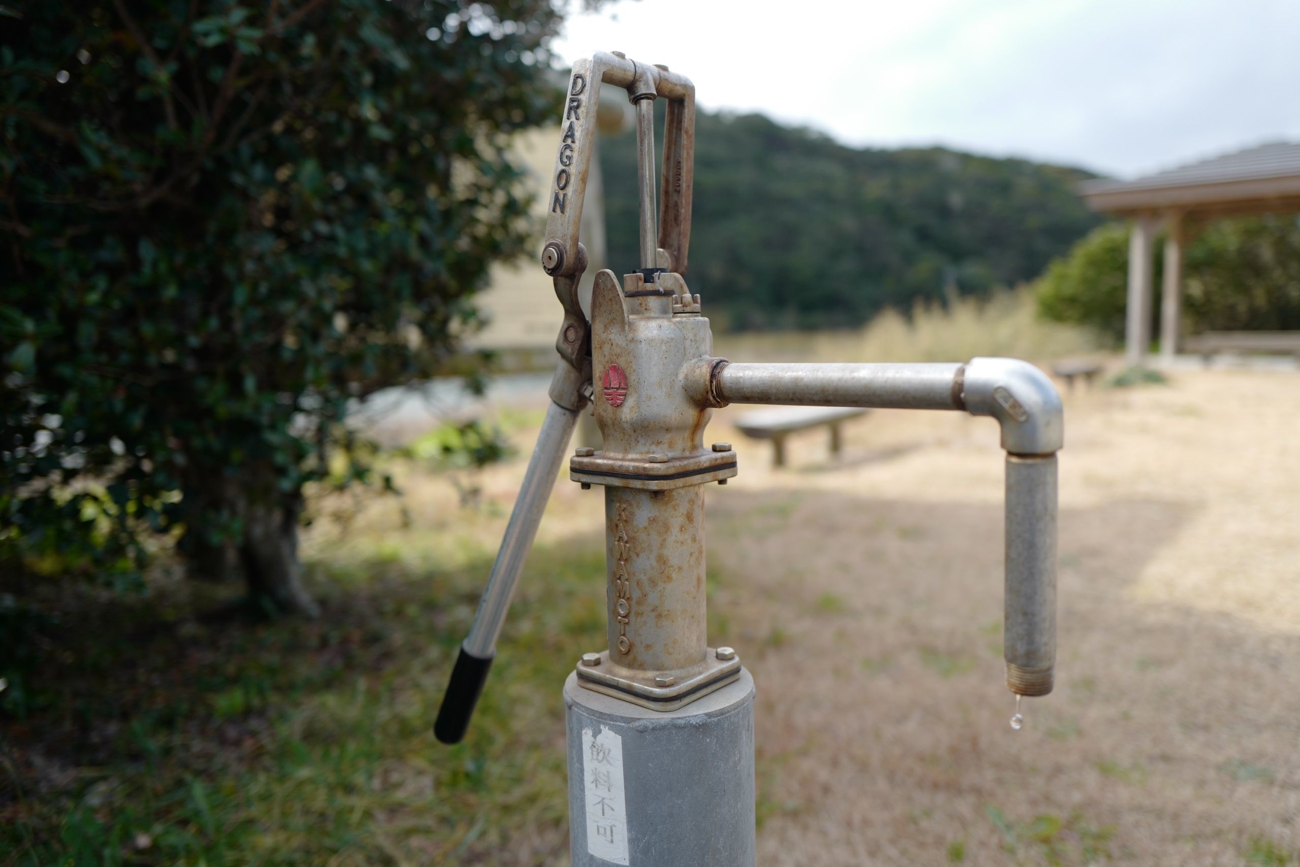 Water drips from an old-fashioned hand pump labeled DRAGON.