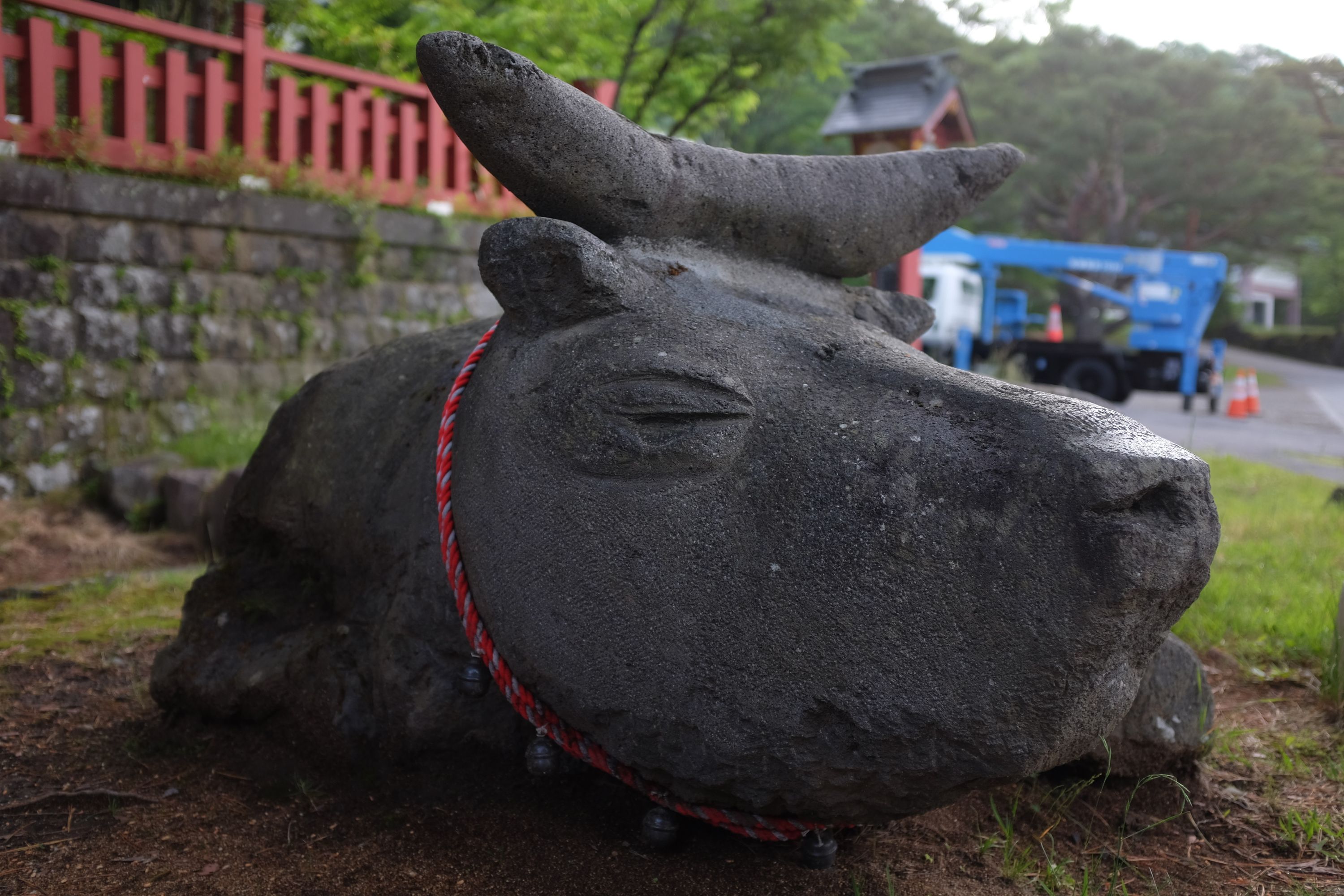 The head of the statue of a sleeping bull at a Japanese shrine.