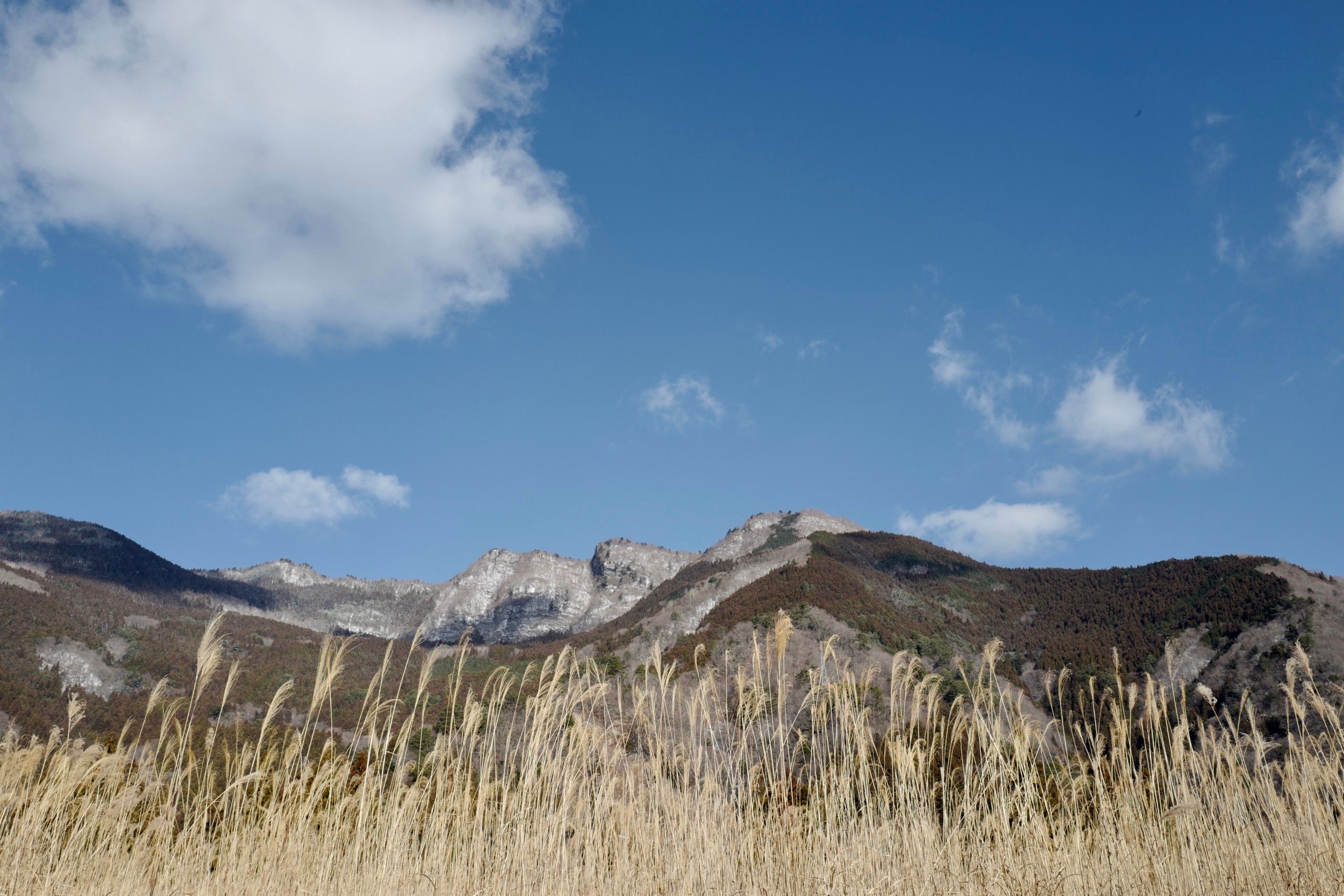 A panorama of forested mountains whose higher sloper are rocky and covered in snow.