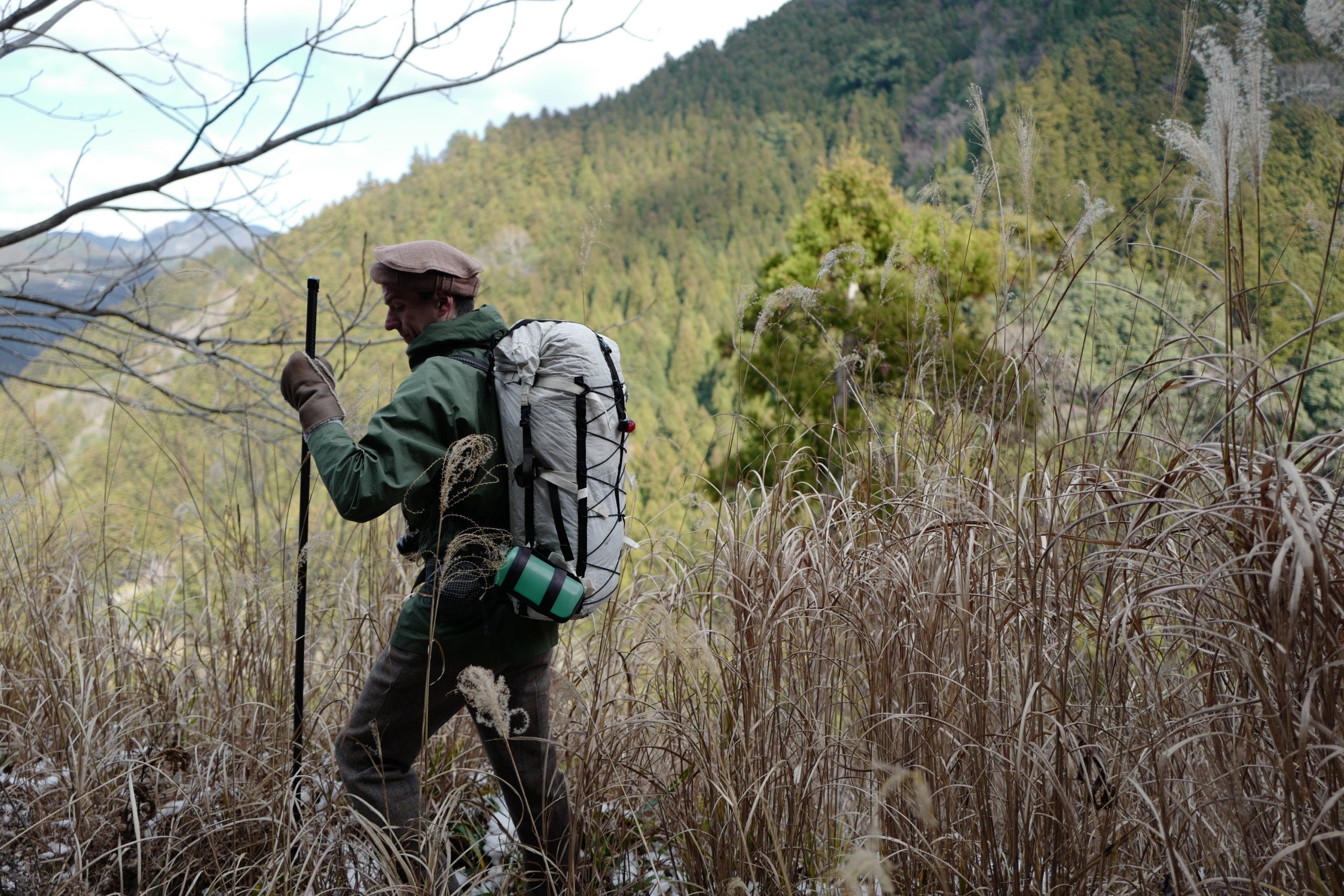 A man carrying a white rucksack and a walking stick, the author, walks in high silvergrass in a hilly environment.