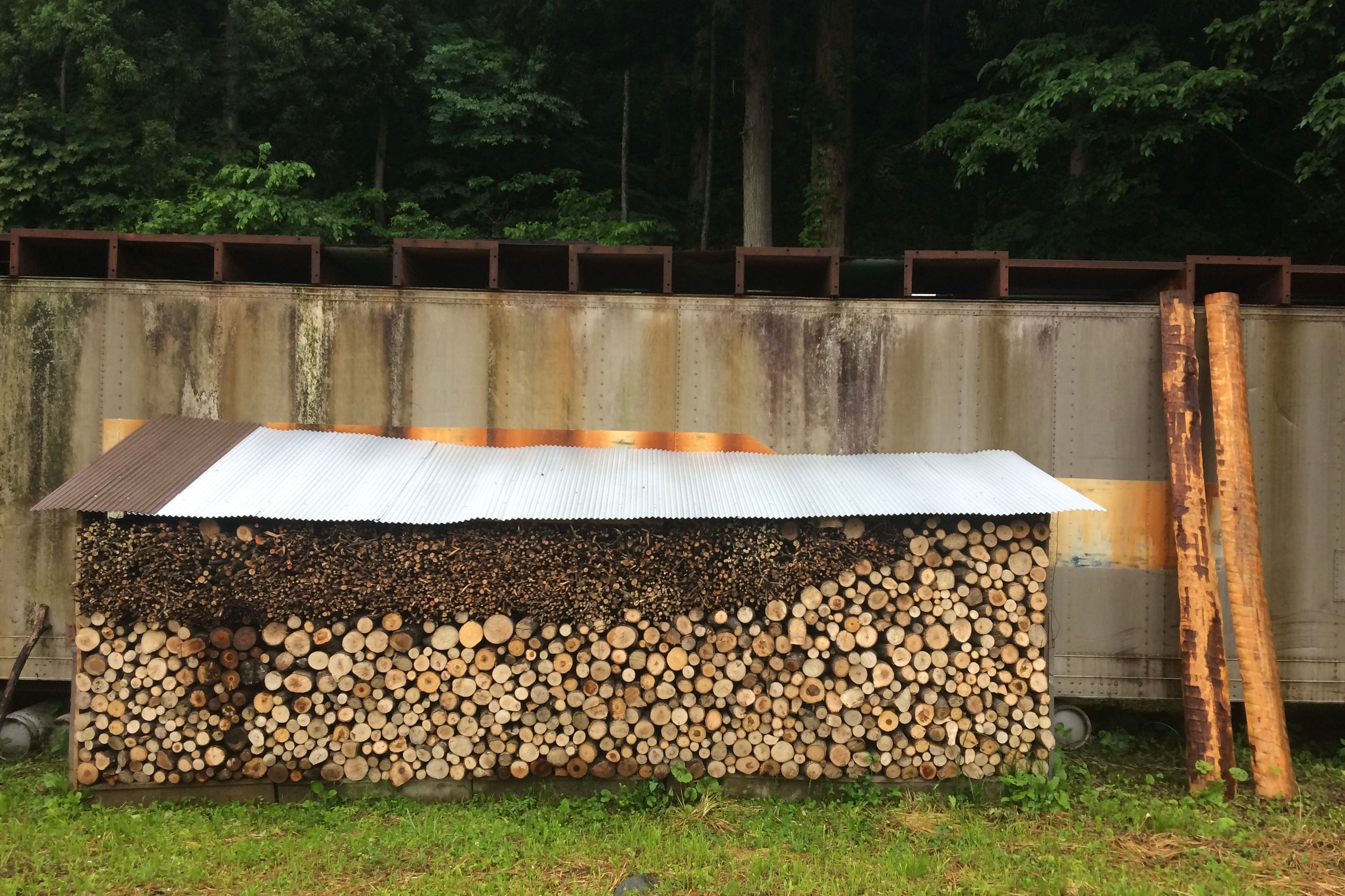 Neatly stacked firewood in an open shed.