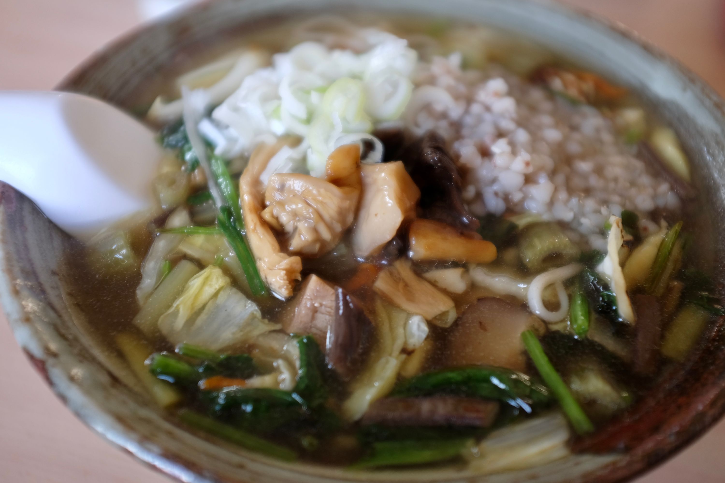 Closeup of a bowl of rice, mushrooms, and vegetables.