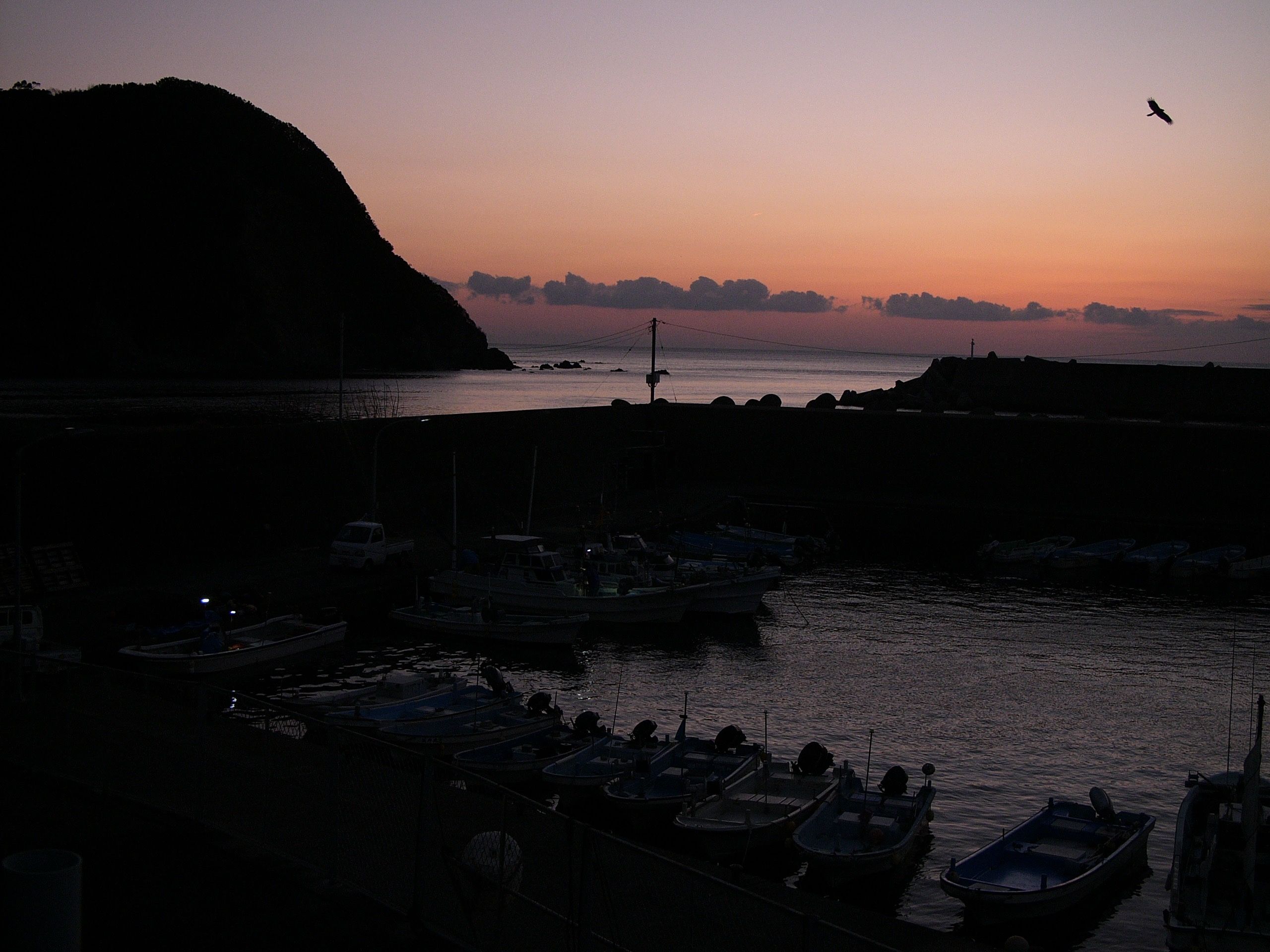 Dawn over a fishing harbor, with a large bird flying above the boats.