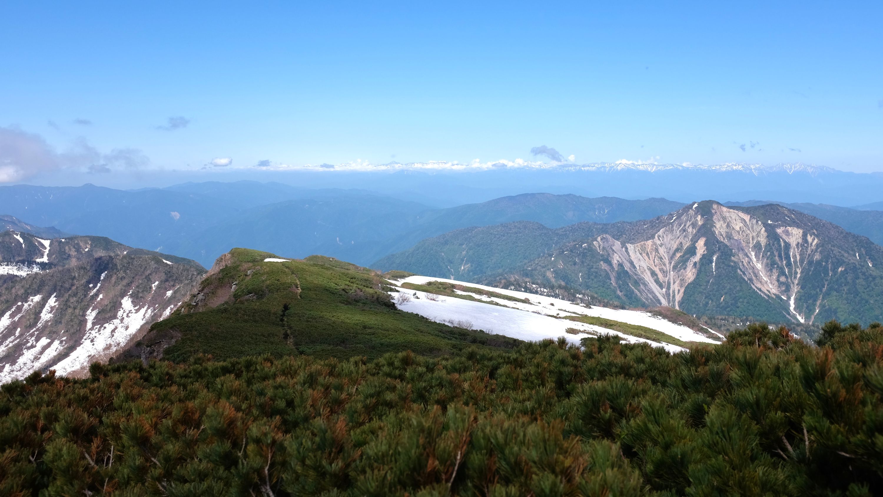 Looking down on a trail leading across dwarf pines, with mountain scenery in the background.