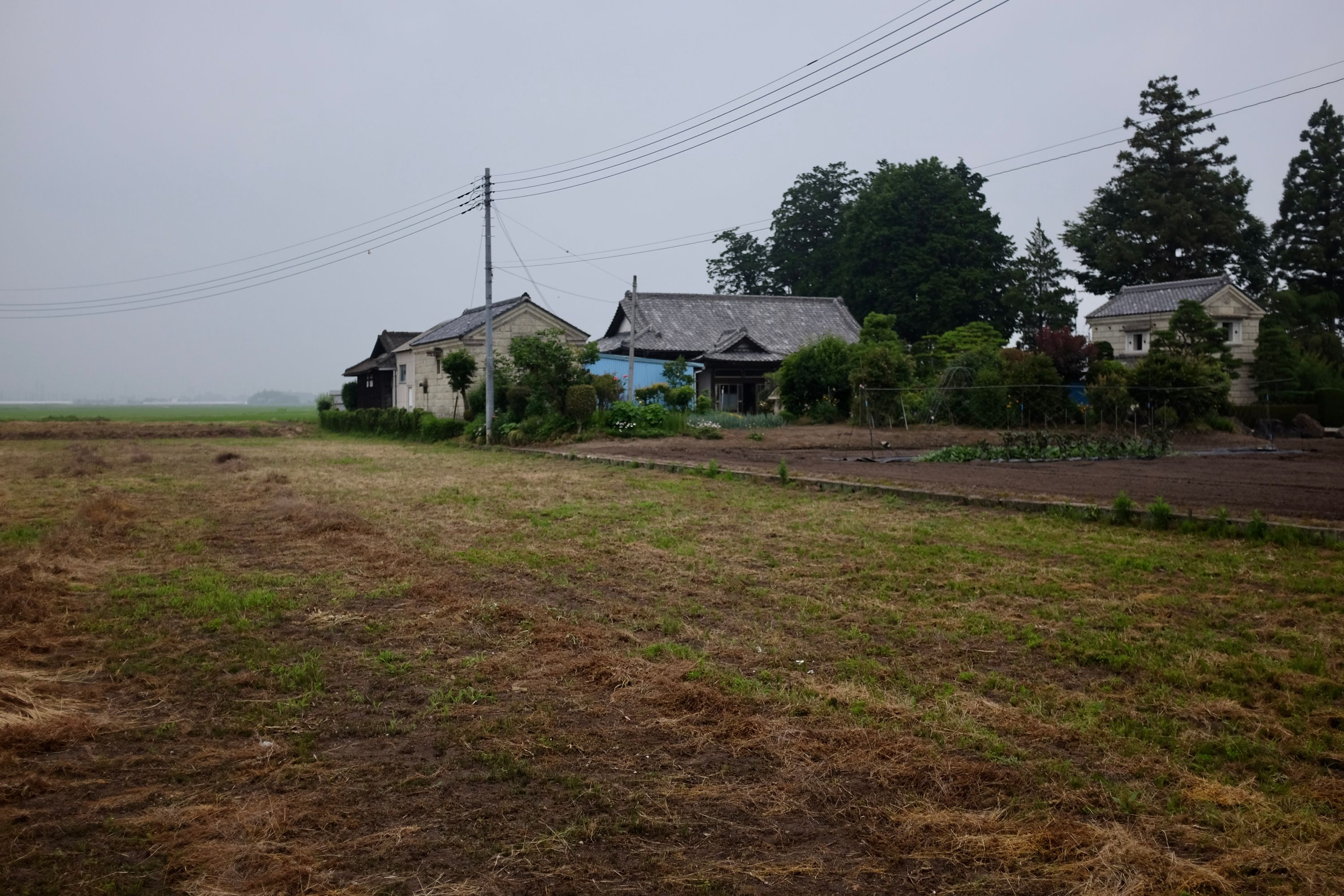 Farmhouses next to fields on an overcast day.