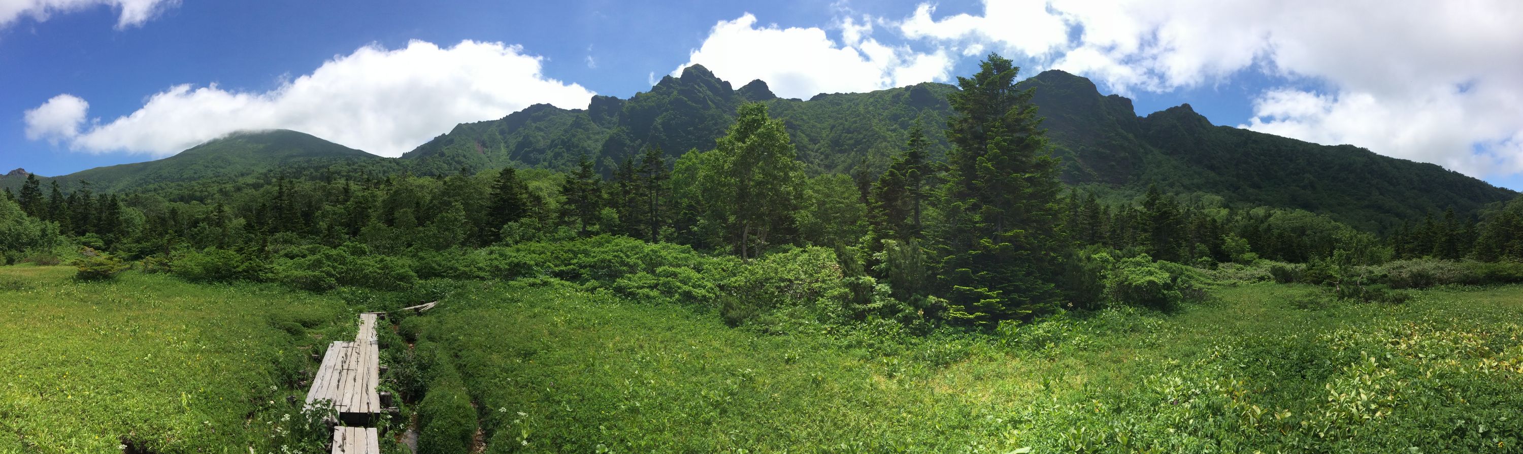 Panorama of a high meadow with duckboards leading across it.