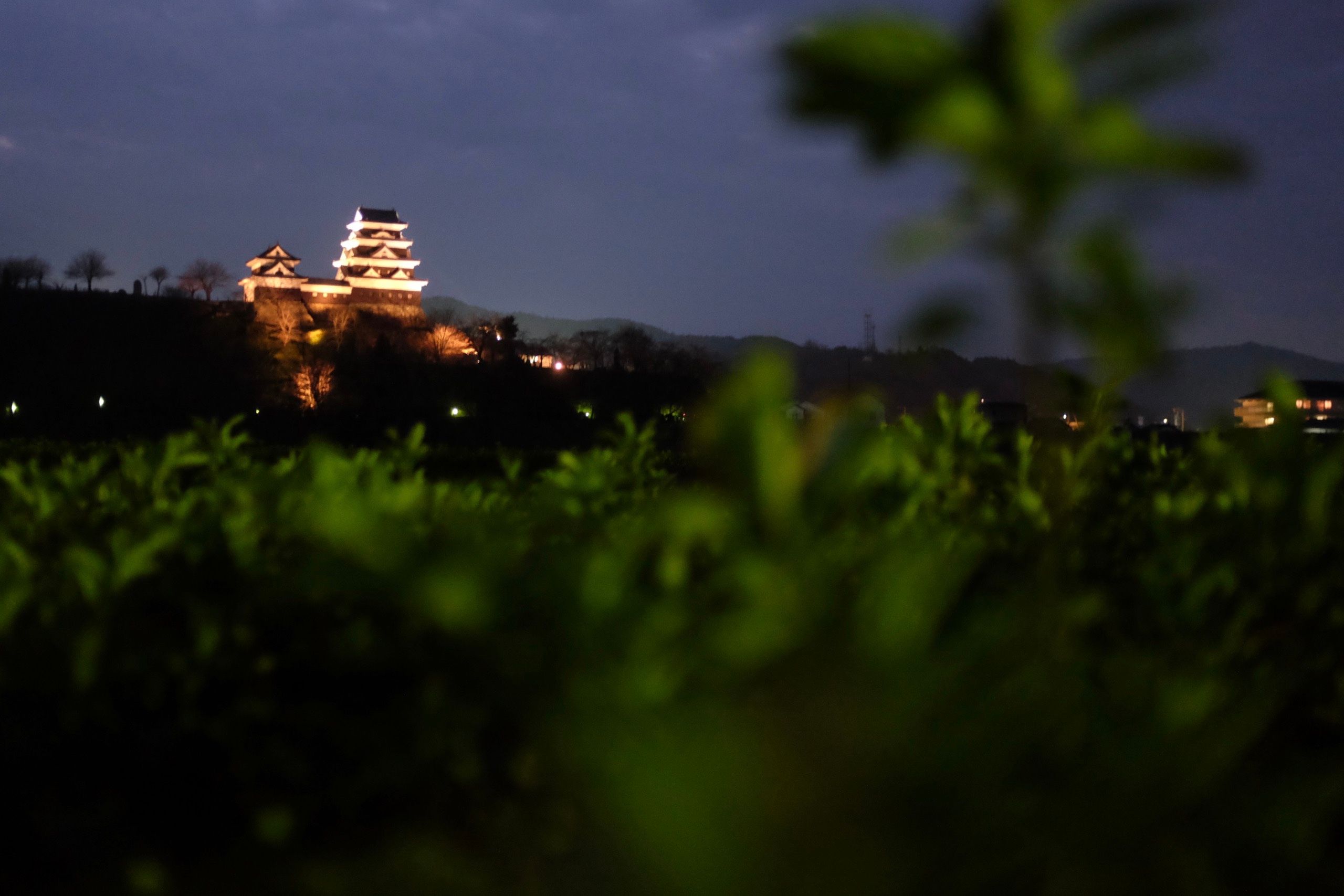 In the medium distance, a medieval Japanese castle is lit up against the night sky.