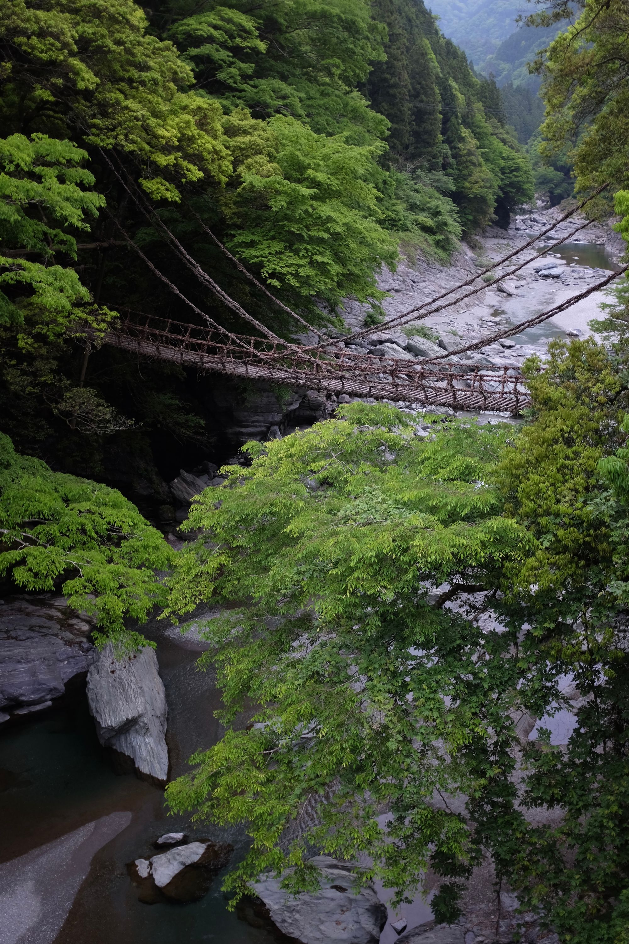 A vine bridge above a rocky mountain river peeks out of the river’s heavily forested banks.