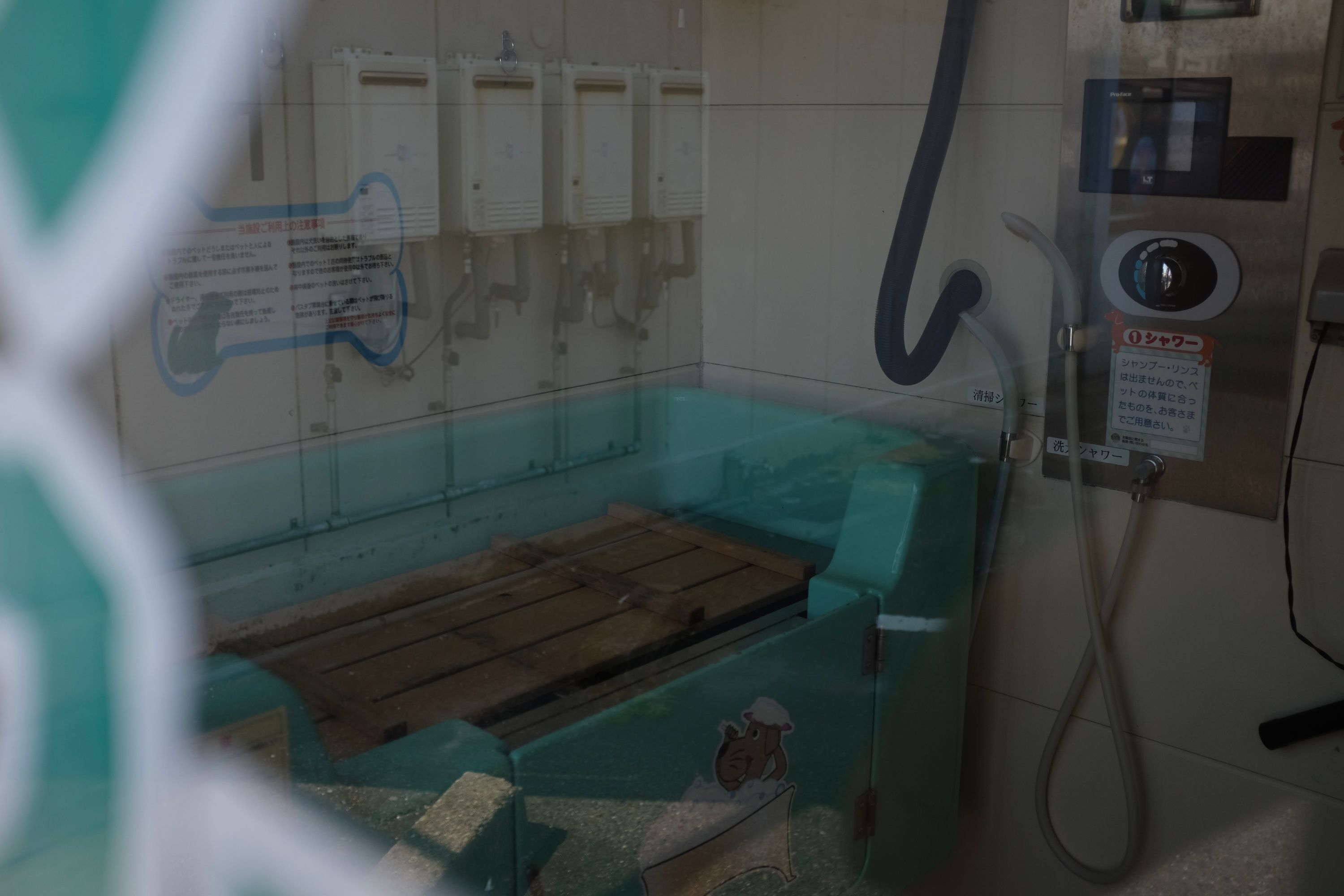 Looking inside the automated dog wash at the equipment for washing dogs.