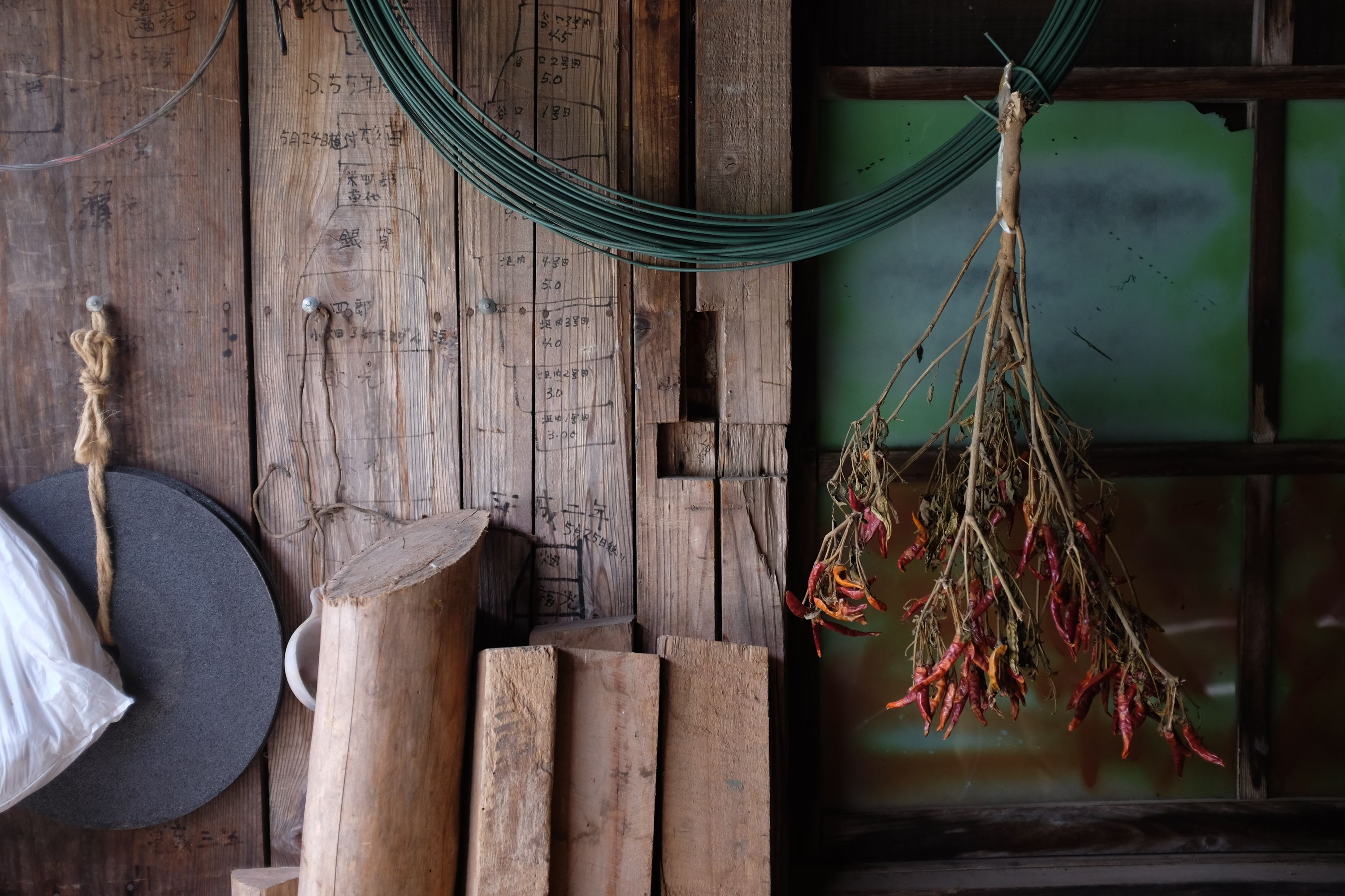 Dried chilies hang from a coil of green wire on the wall of a garage.