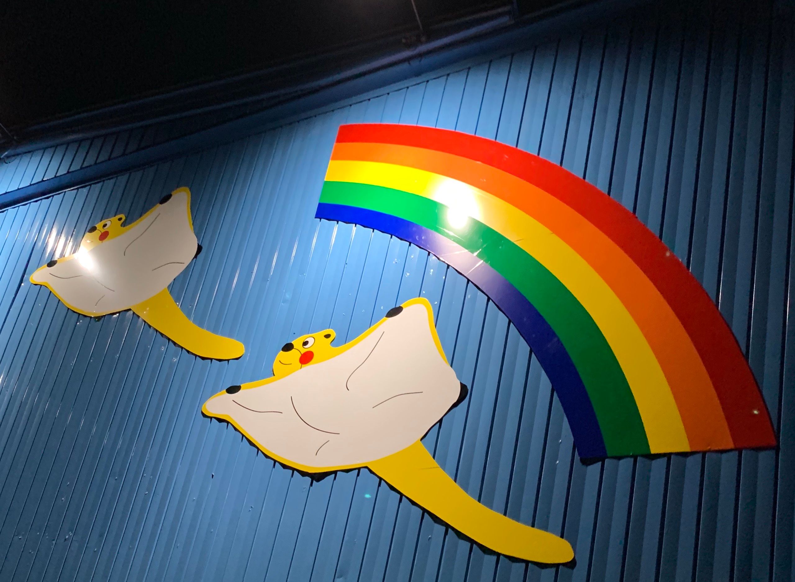 Two cartoonish flying squirrels and a rainbow on the side of a blue corrugated shed.