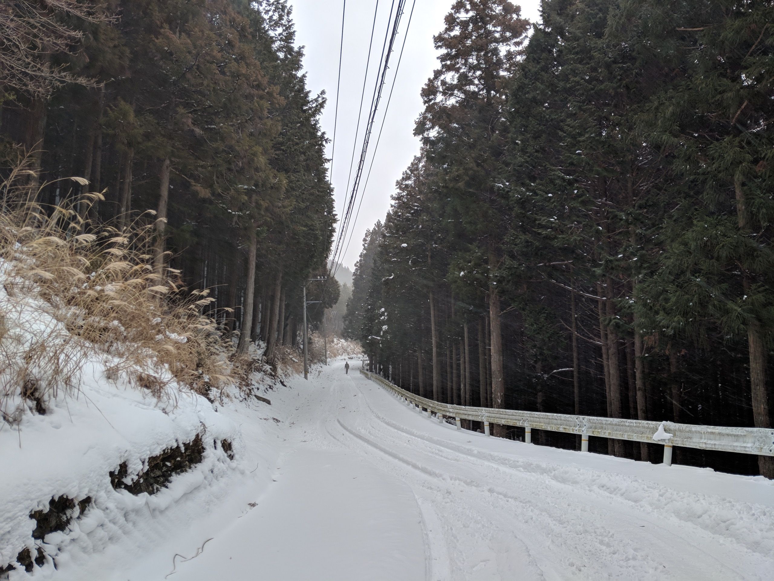 In the distance, a human figure walk on a snow-covered road in a forest.