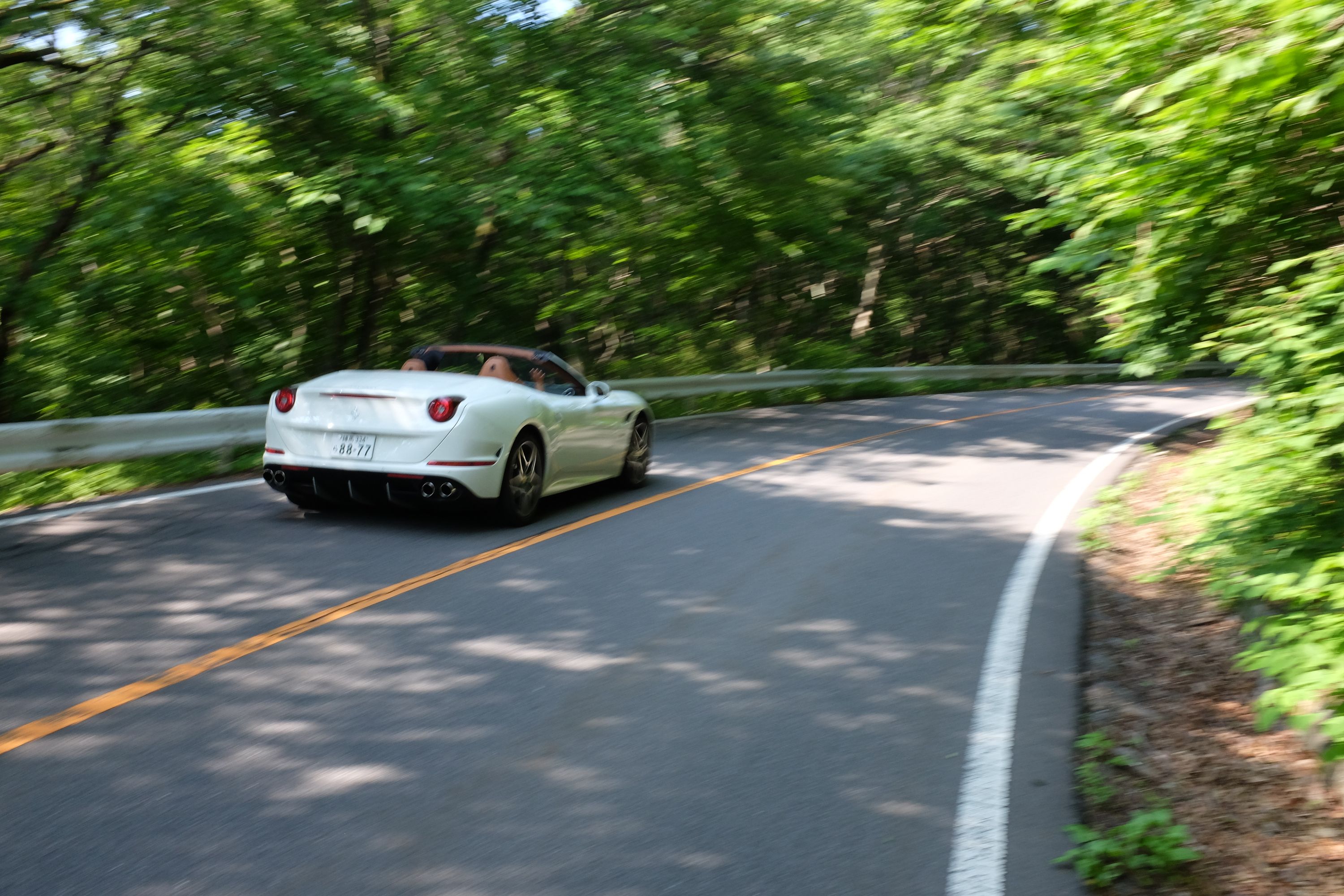 A white Ferrari California driven through the forest in early morning light.
