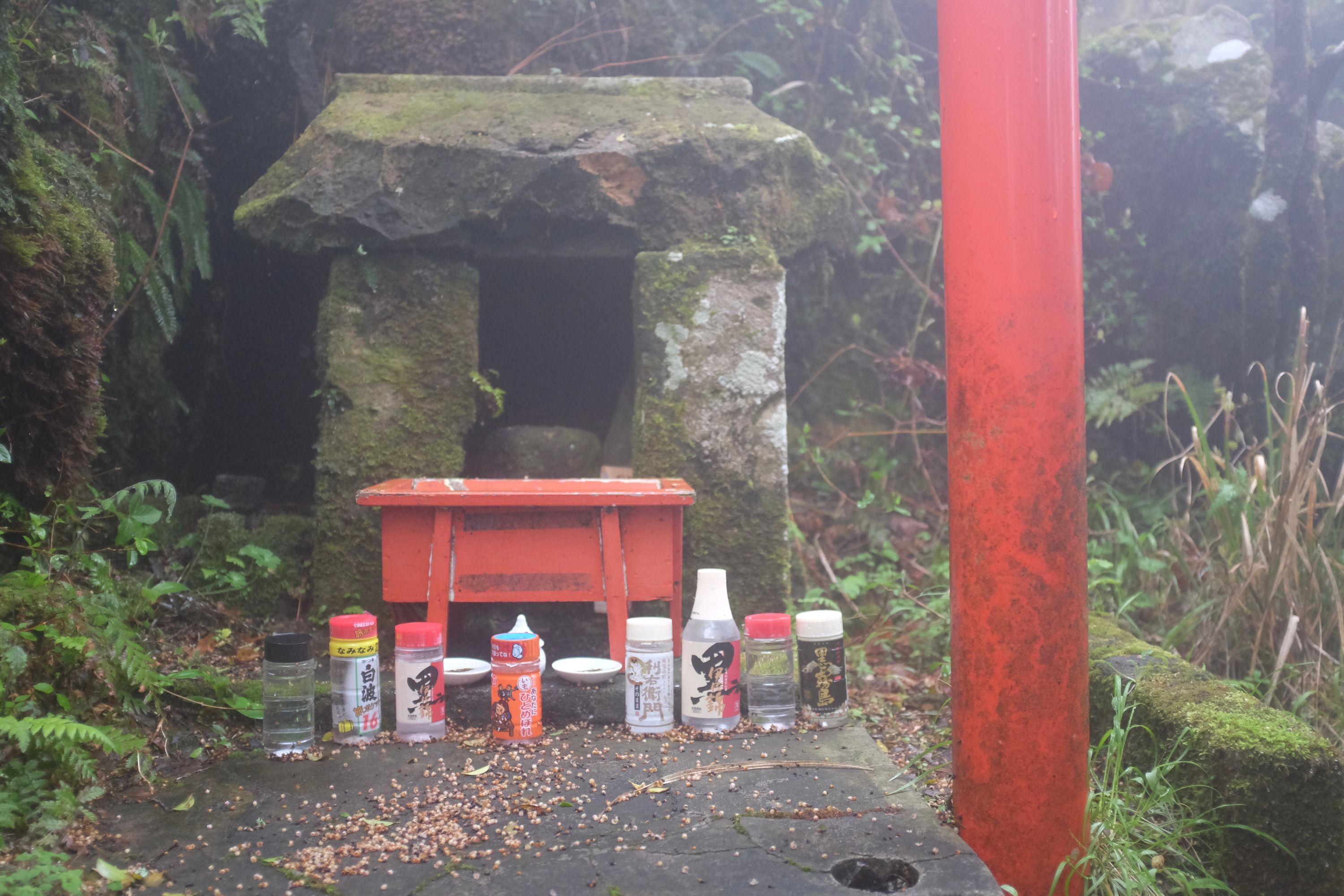 A wider view of the same shrine shows the surrounding jungle in the fog.