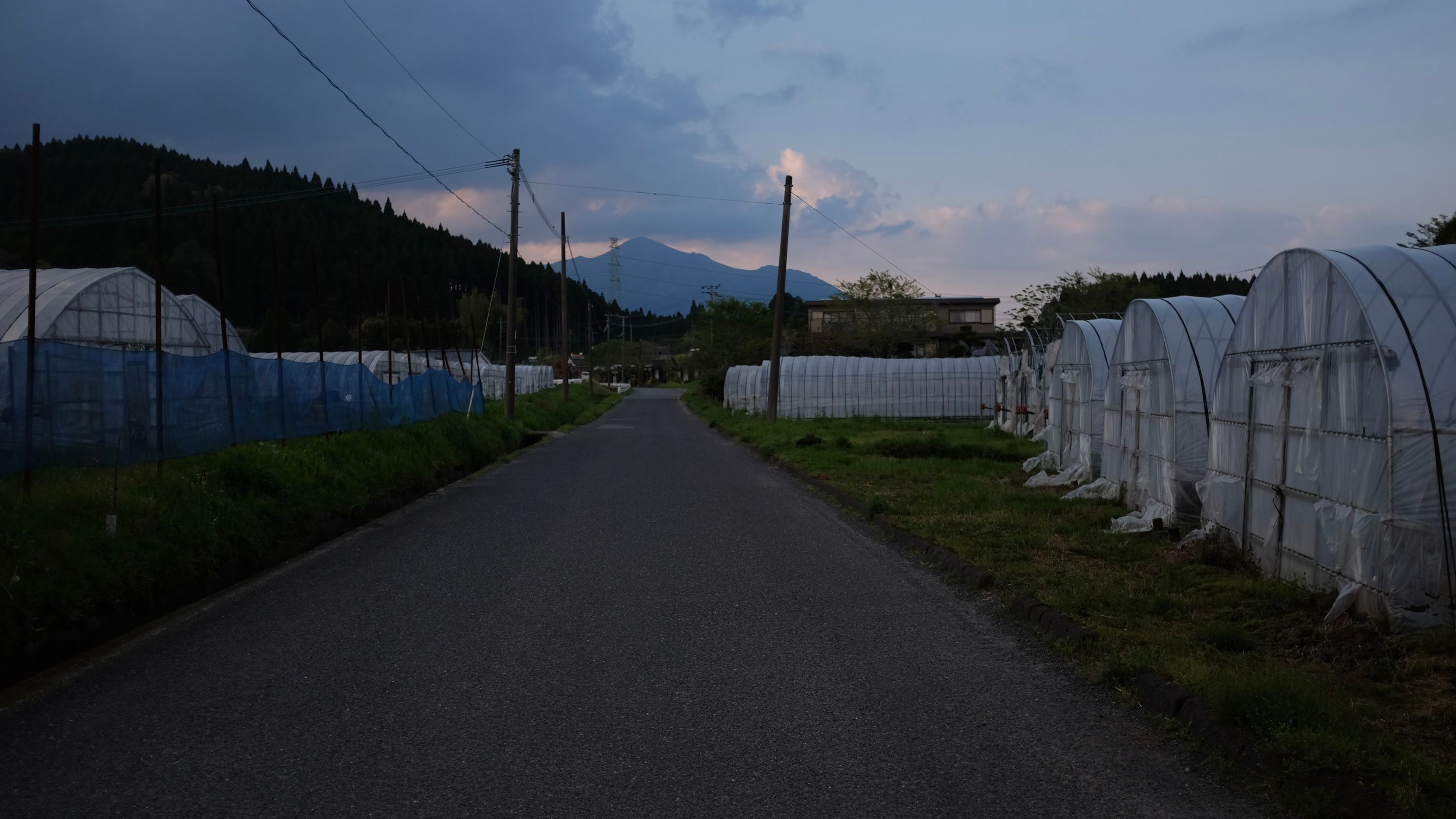 A volcano, Takachino-no-mine, on the horizon behind a number of polytunnels.