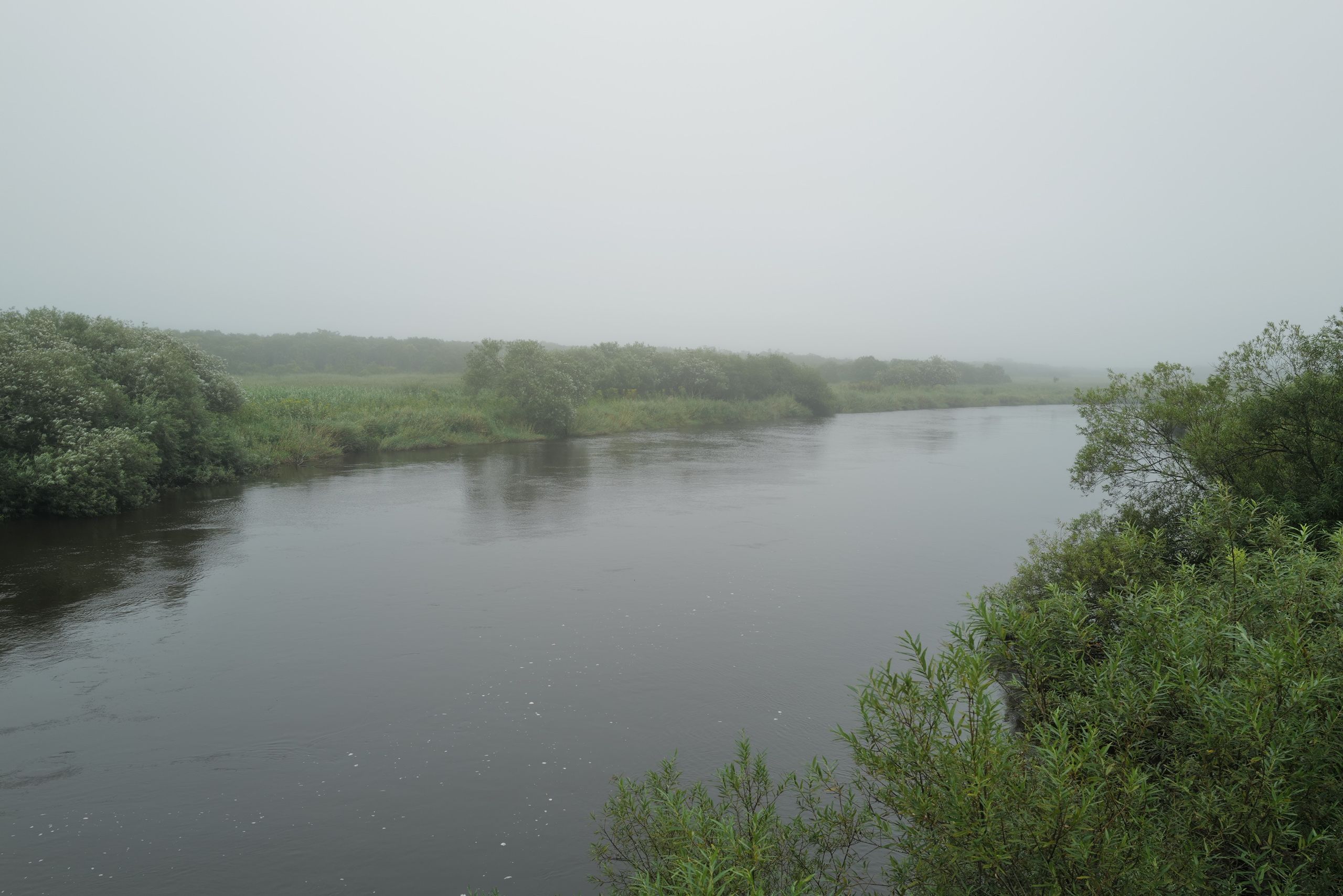 Looking out over wetlands and a slow, meandering river.