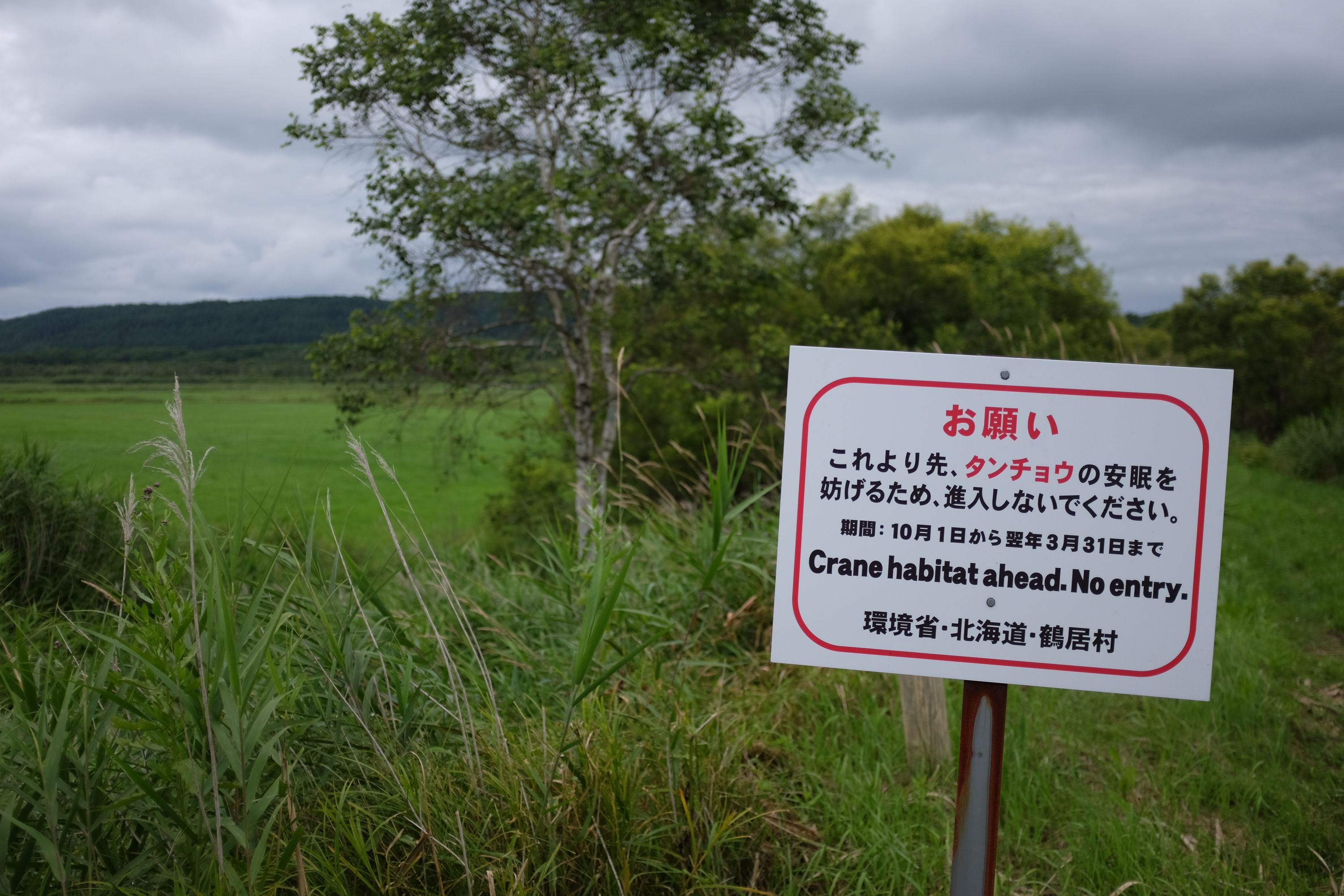 A sign in the countryside reading “Crane habitat ahead. No entry.”.