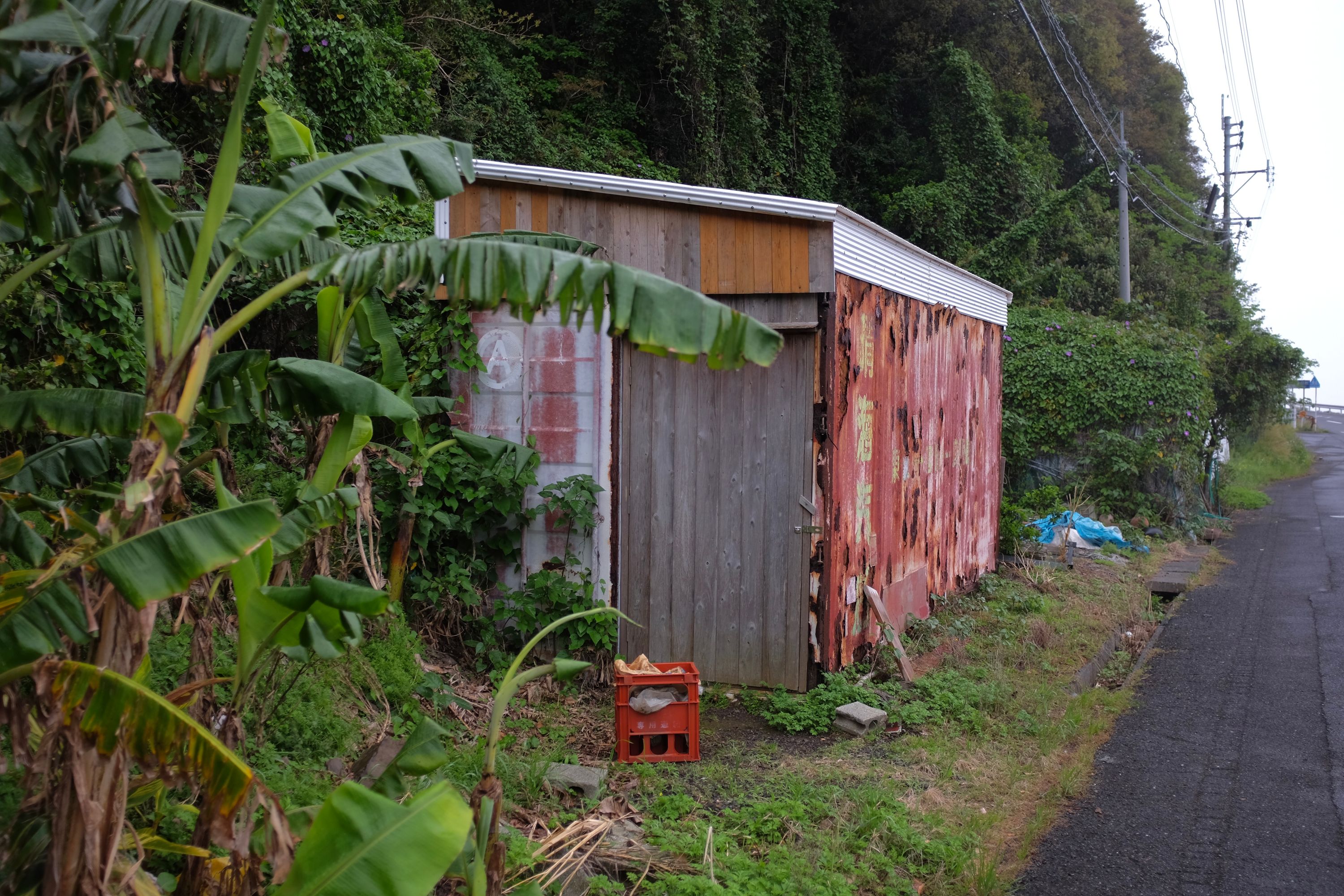 A rusty red shipping container by the side of the road.