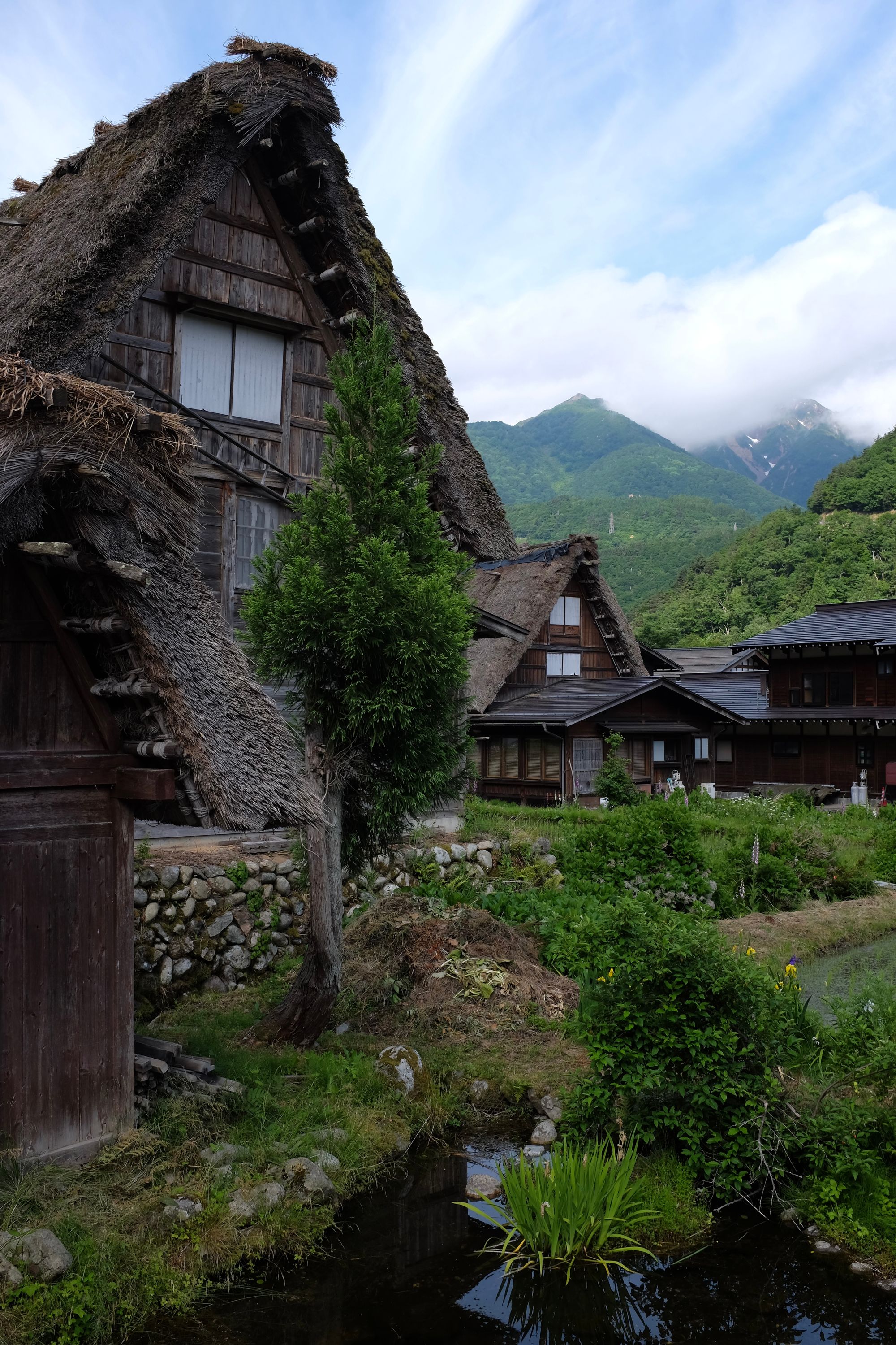 A group of large, thatch-roofed farmhouses with snow-covered mountains in the background.