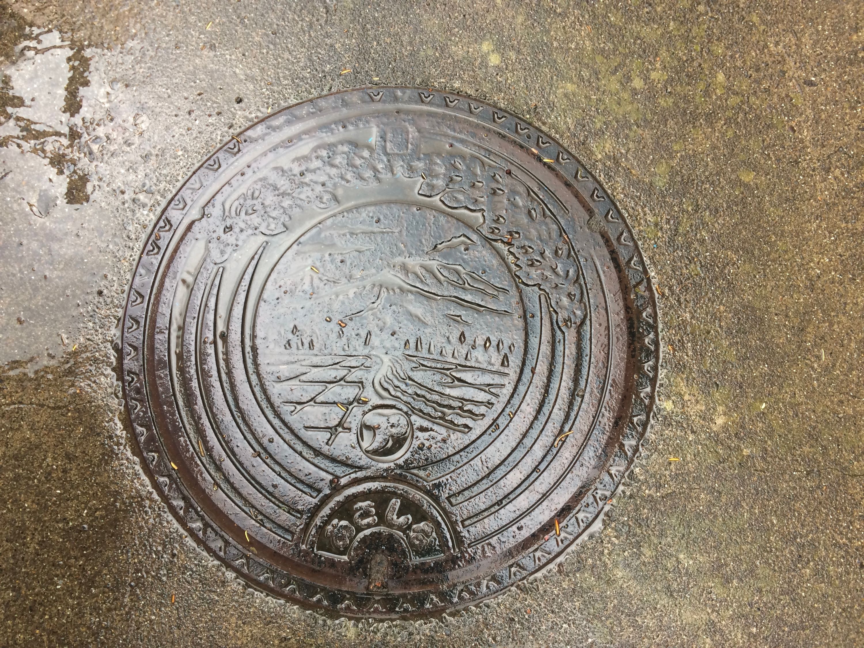 A wet manhole cover shows Mount Asama, the volcano above Saku and Karuizawa.