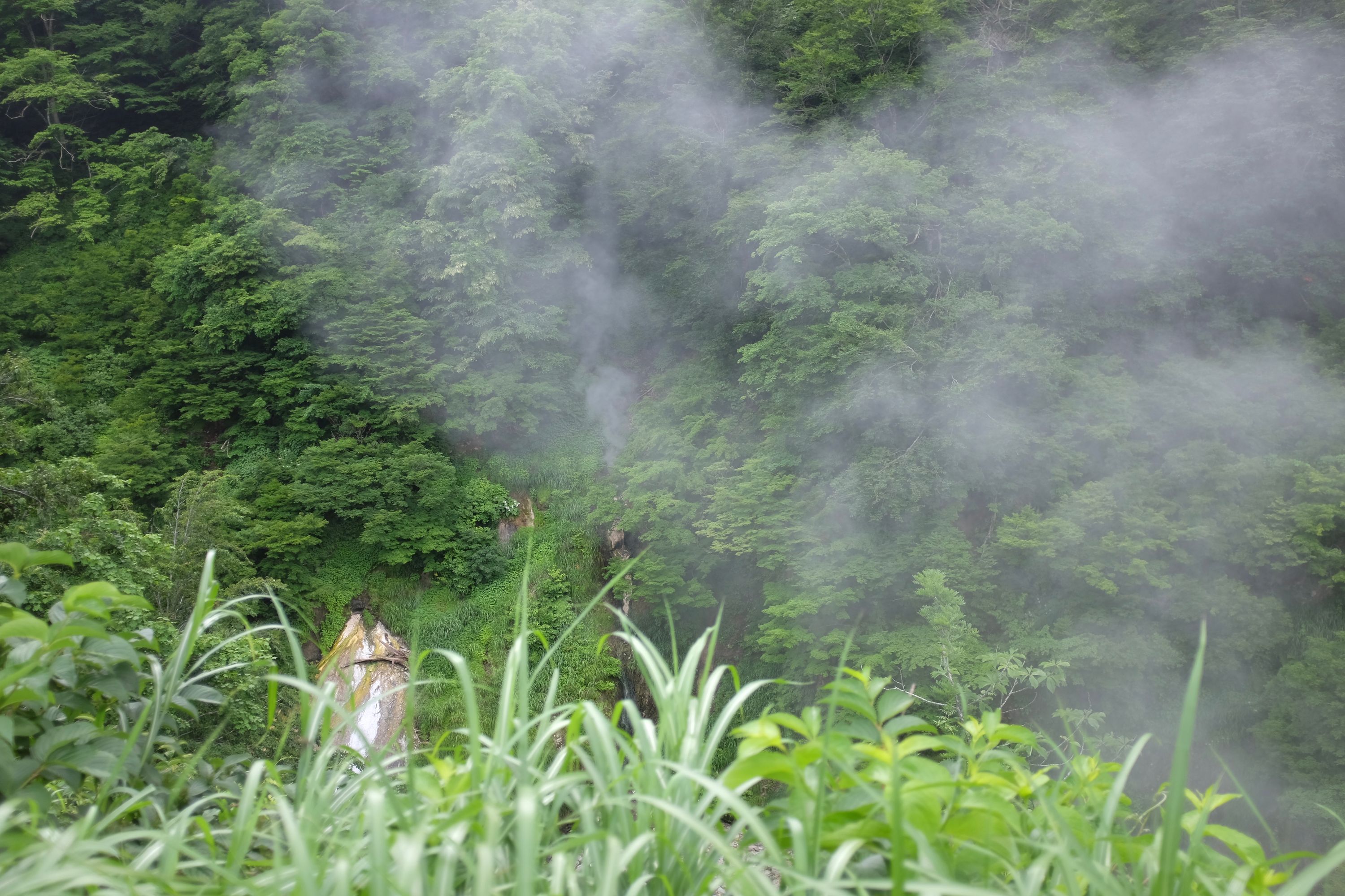 Steam from a hot spring wafts up from a valley.