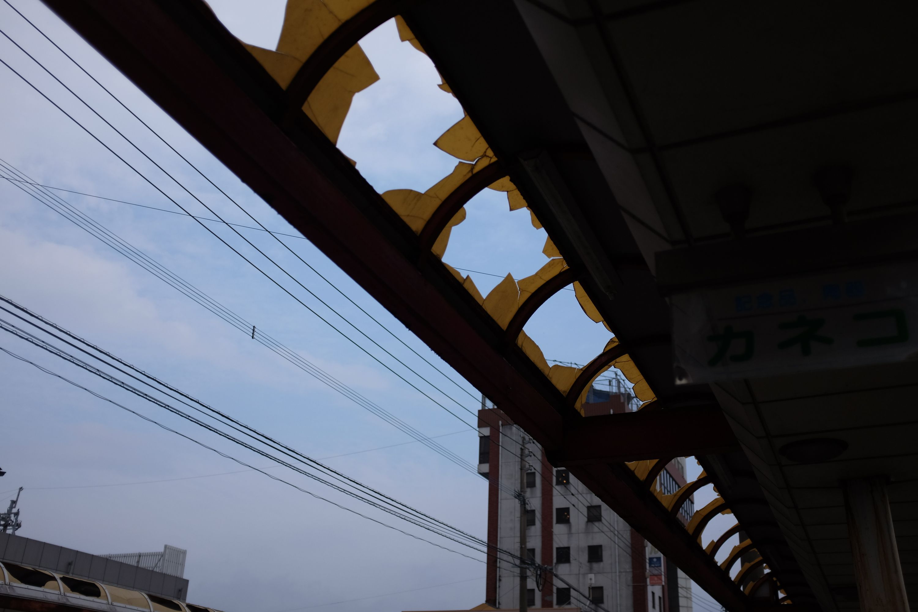 Looking up at broken rain roofs.