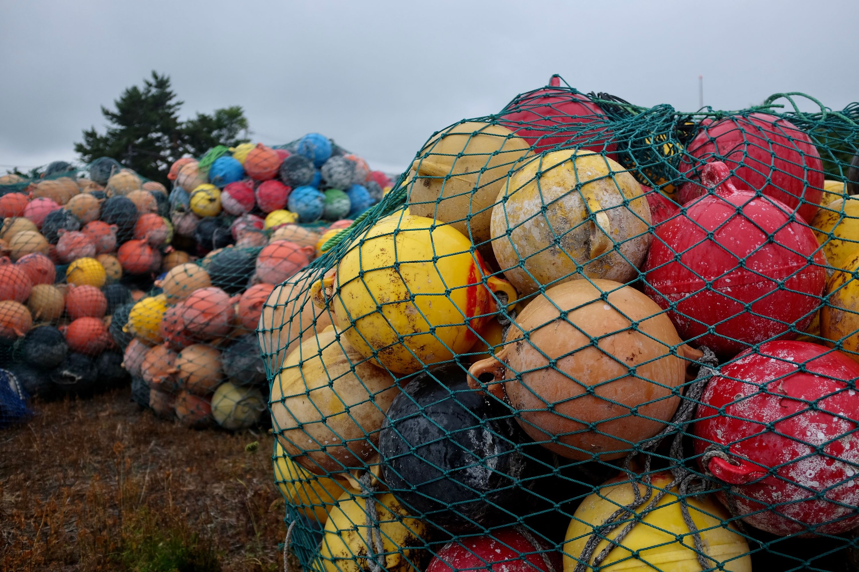 Colorful fishing floats in large nets.