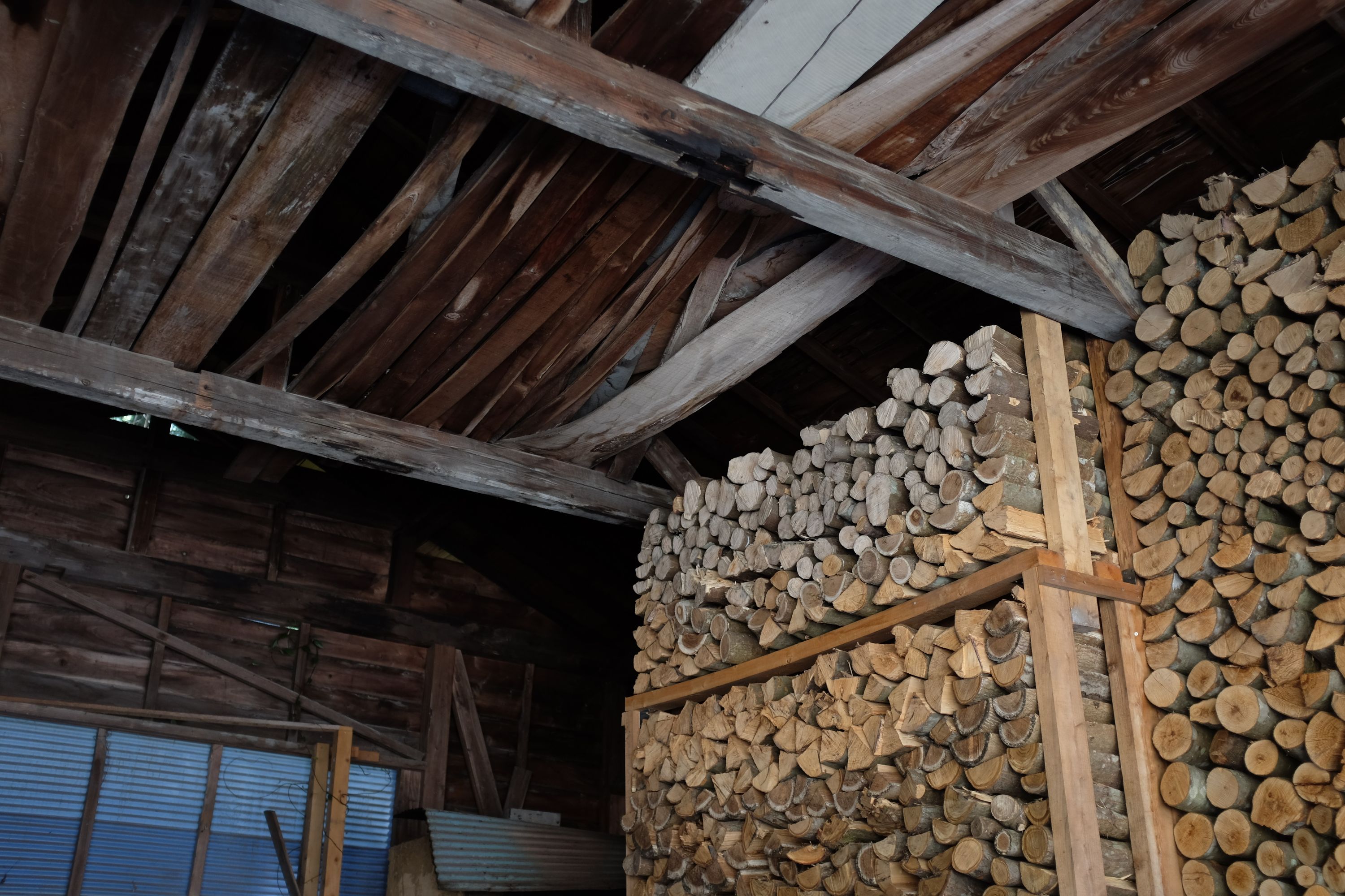 A stacks of firewood in a shed.