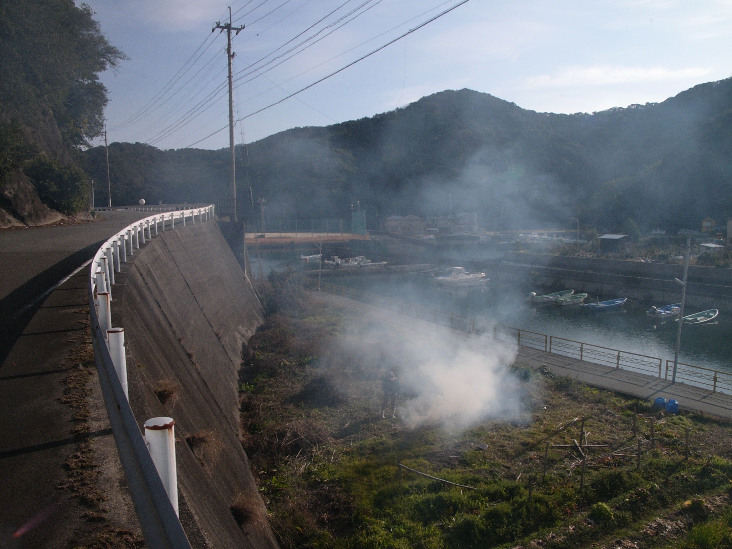 Smoke rises over a vegetable patch.