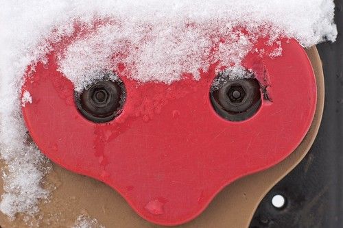 Face in the snow