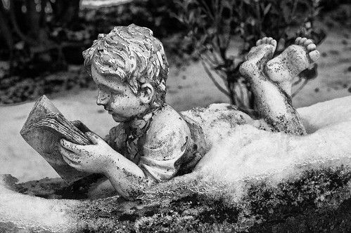 Boy reading in the snow