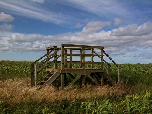 Holy Island