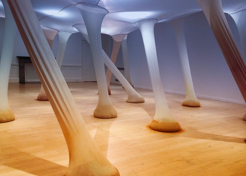 Ernesto Neto