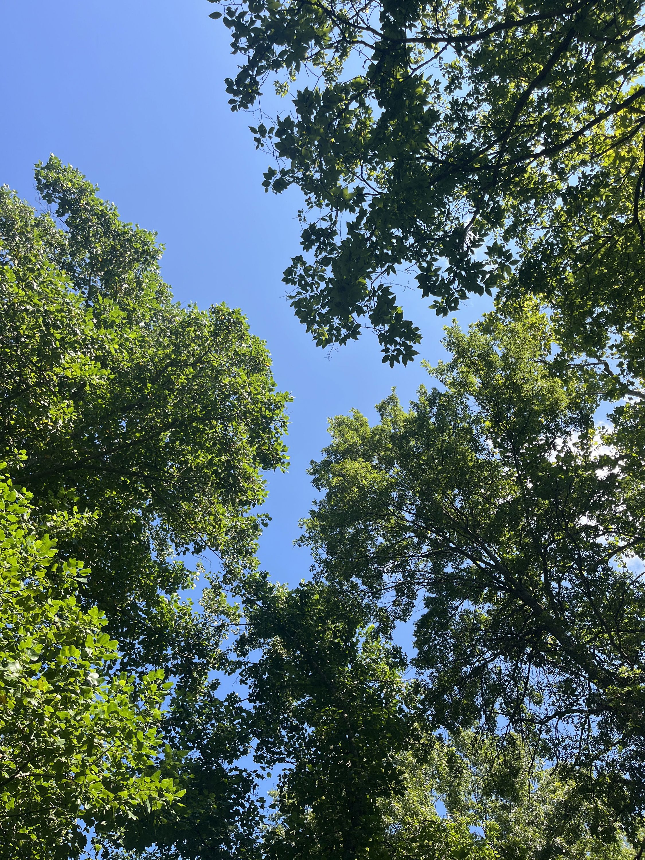 Green Rock trail from Rockwoods Reservation