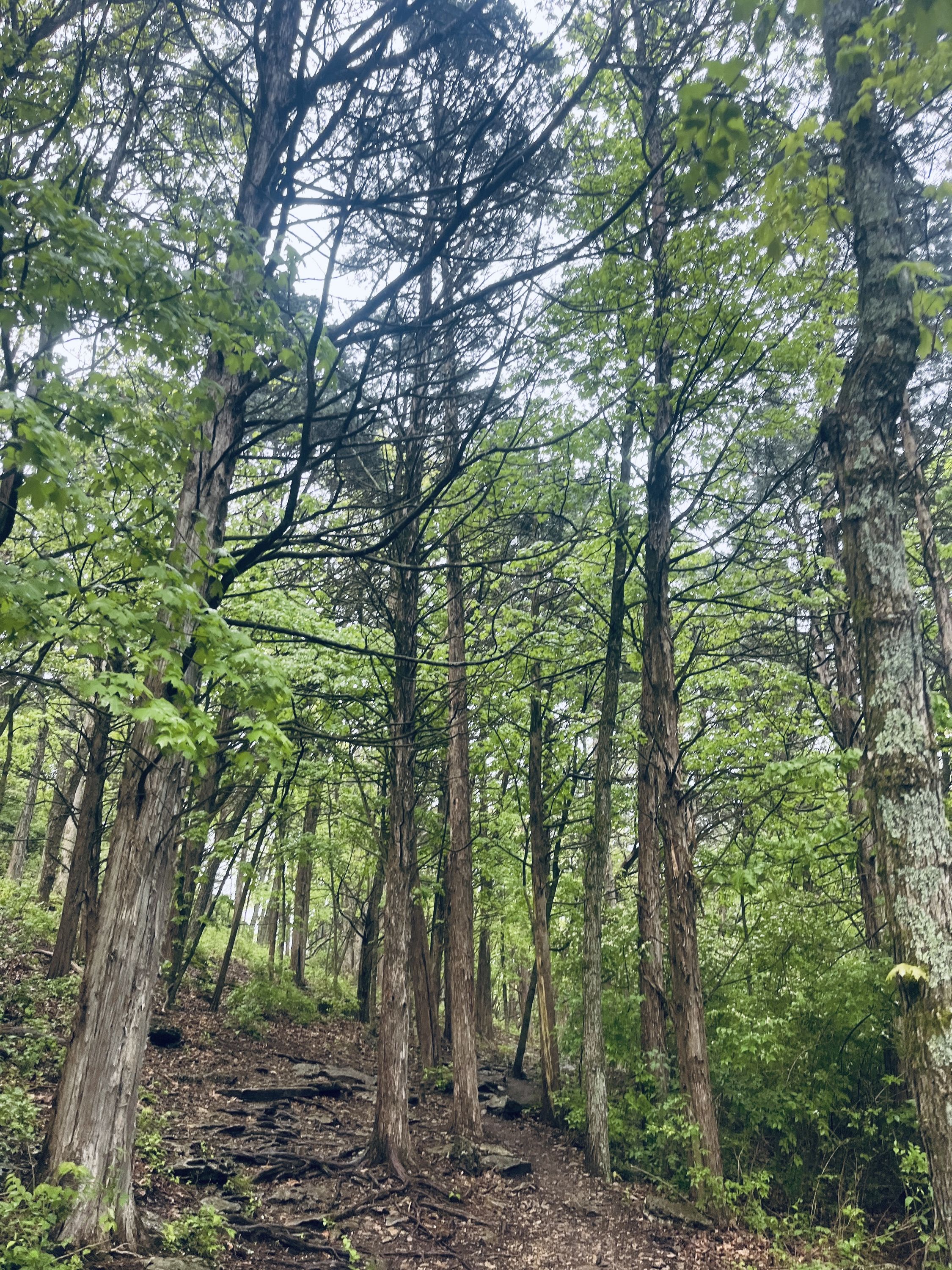 Hiking church 01