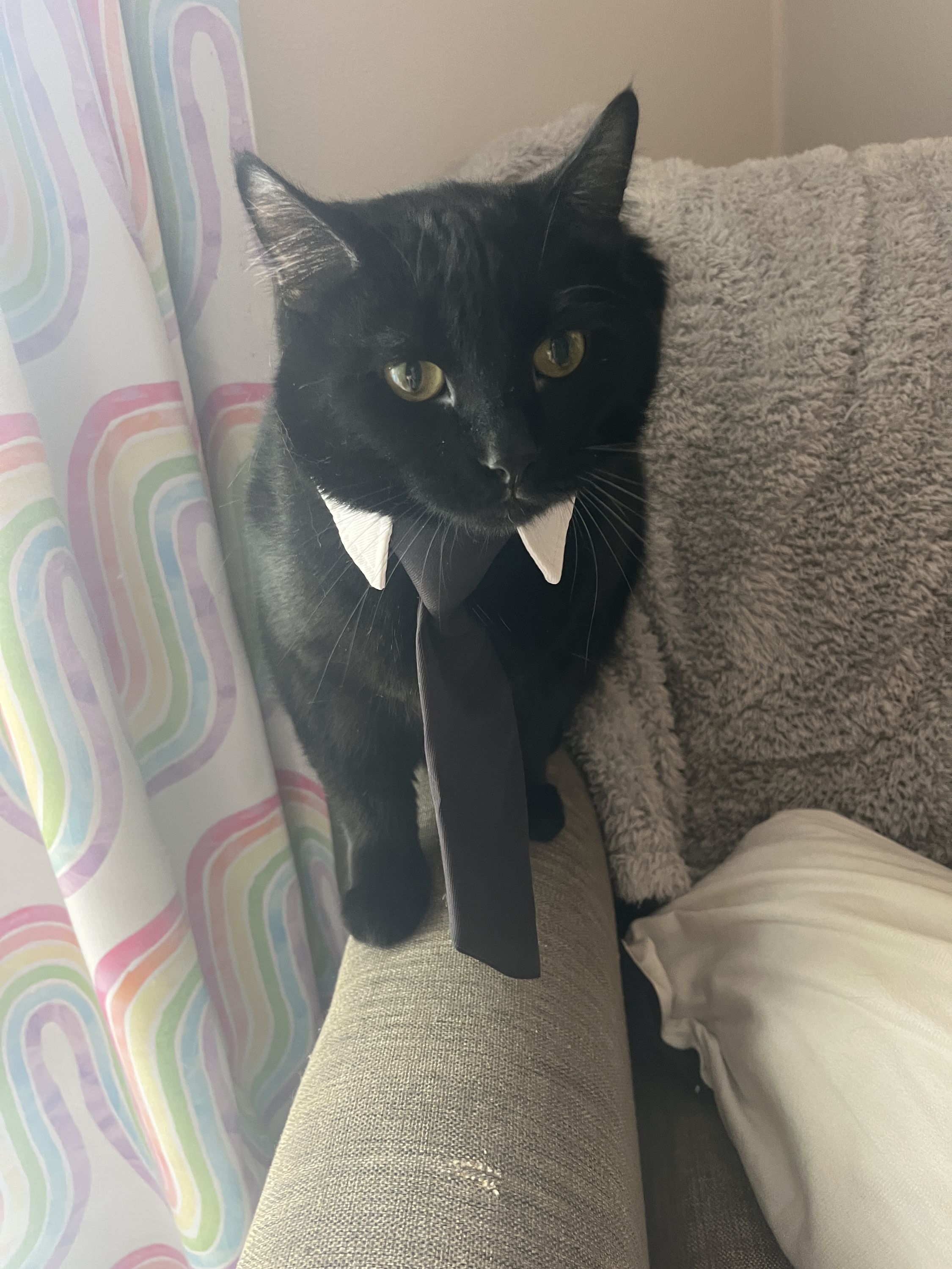 Call me Mr Business