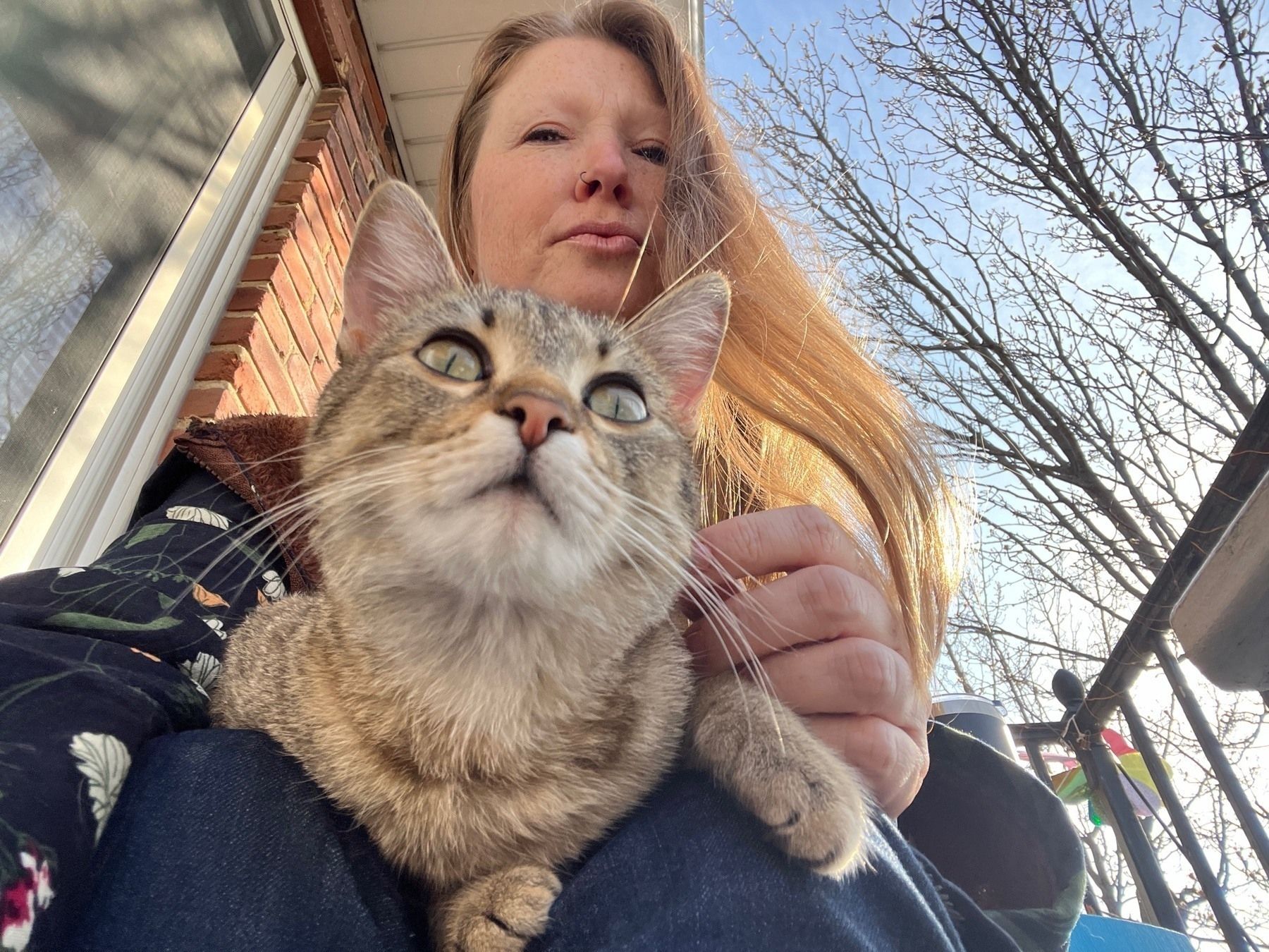 A closer view of a small gray tabby cat with wide eyes looking up from a woman’s lap, with sky behind them