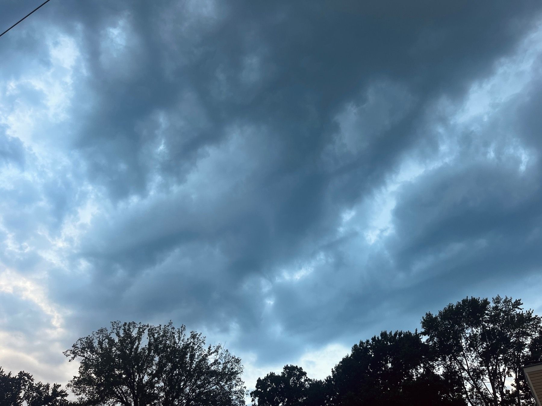 Gray foreboding storm clouds over a few trees at the bottom of the image