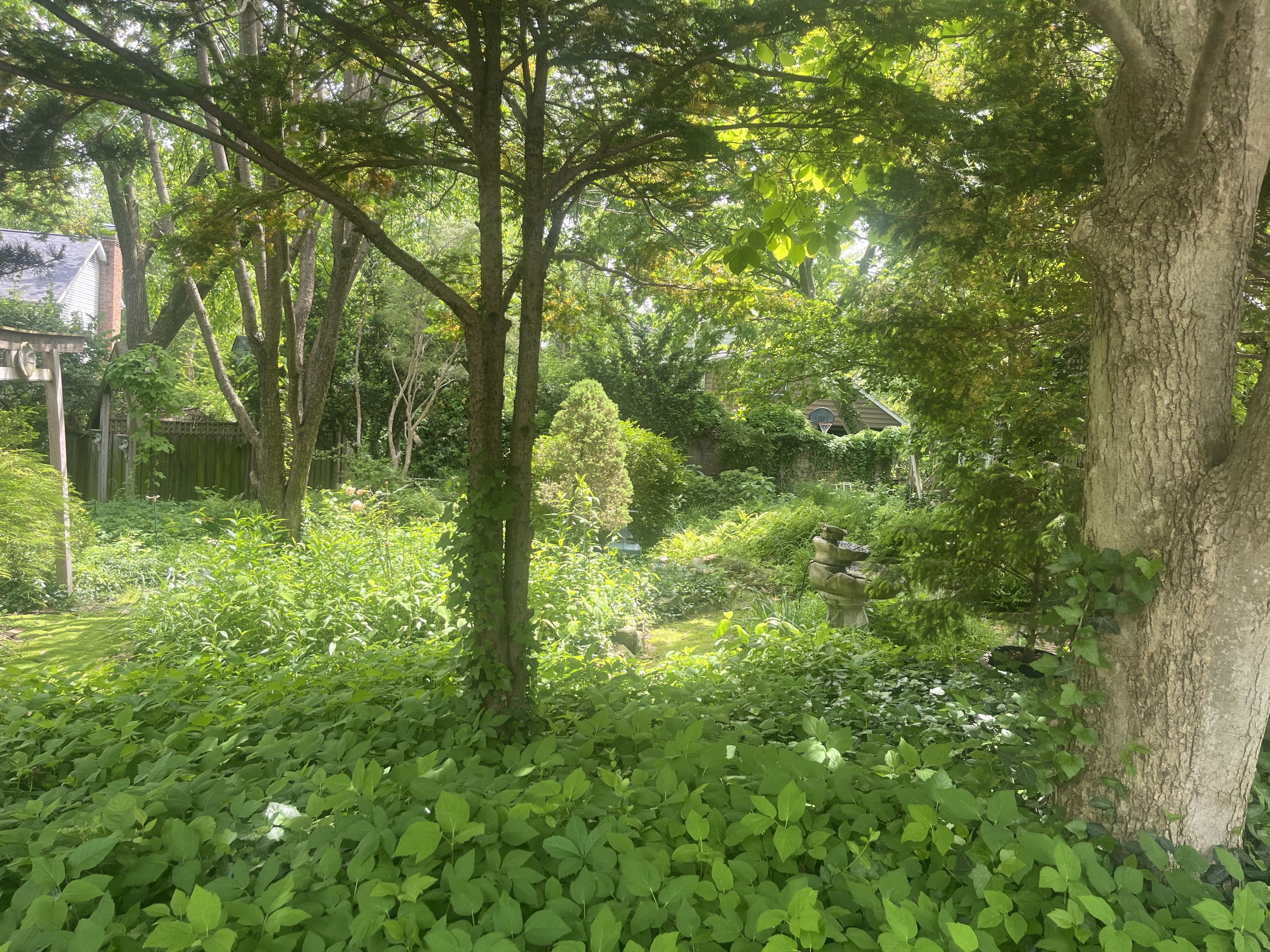 Secret garden