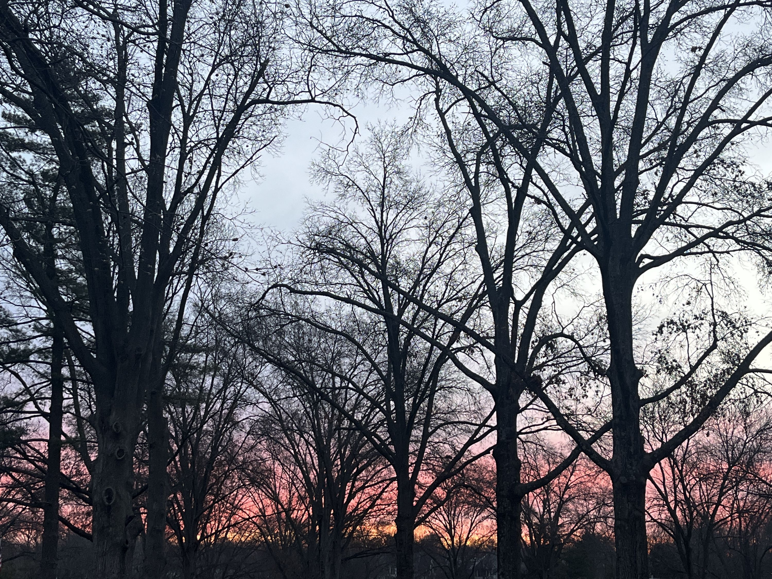 Sunrise sky