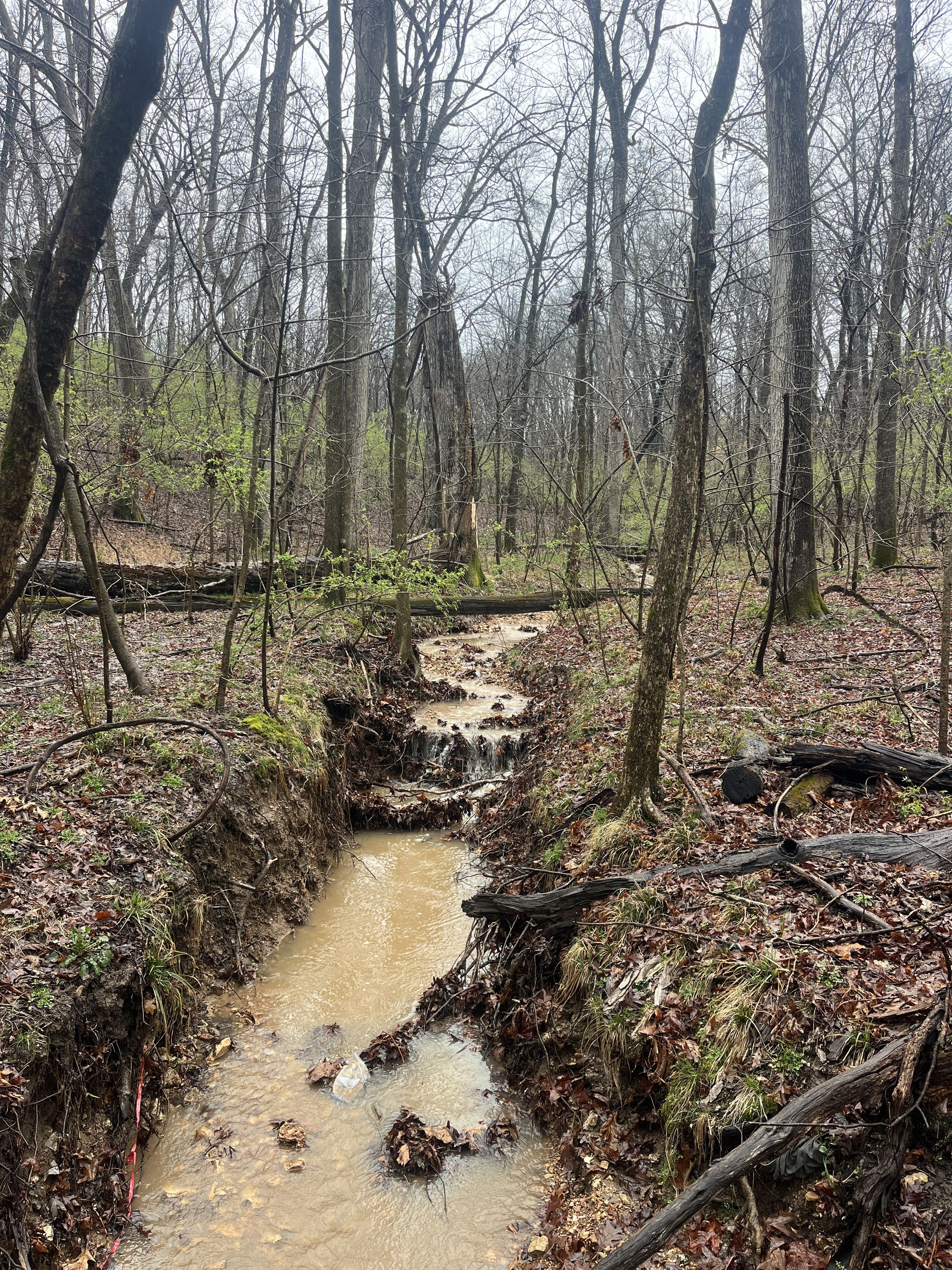 Hiking church and spring rain