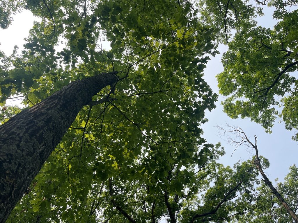 Hiking church 02