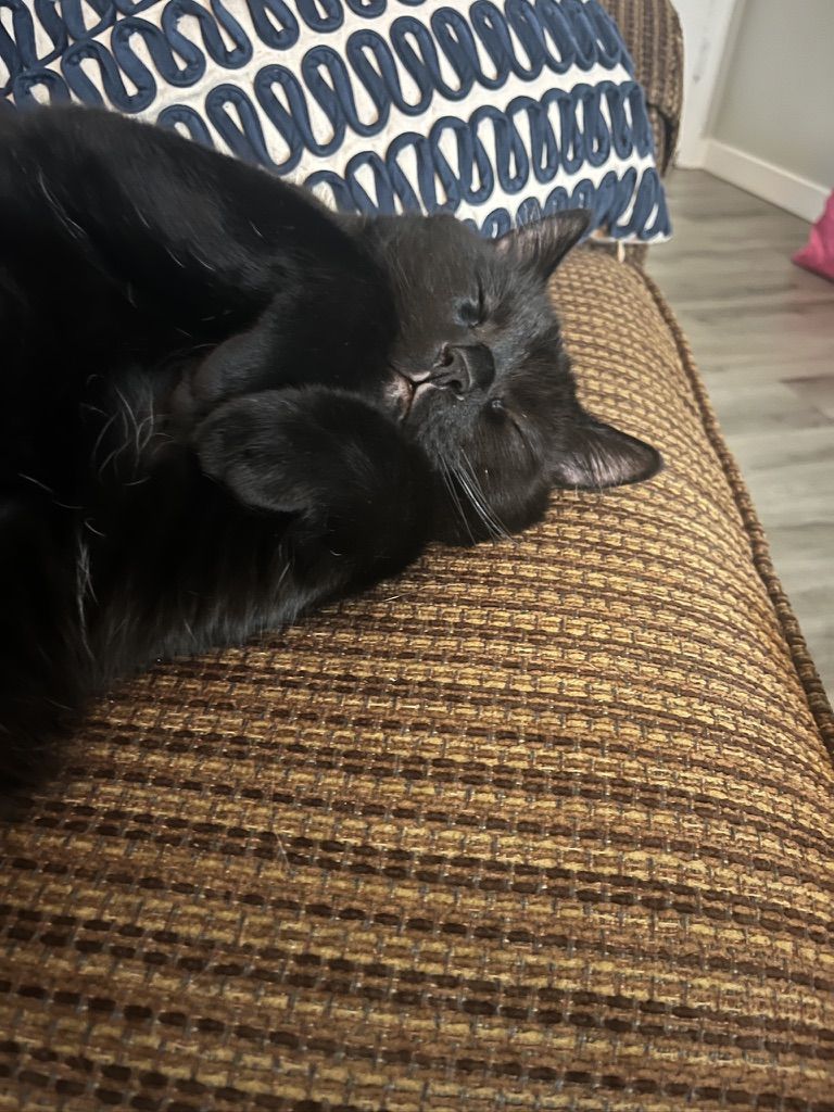 Snoozing