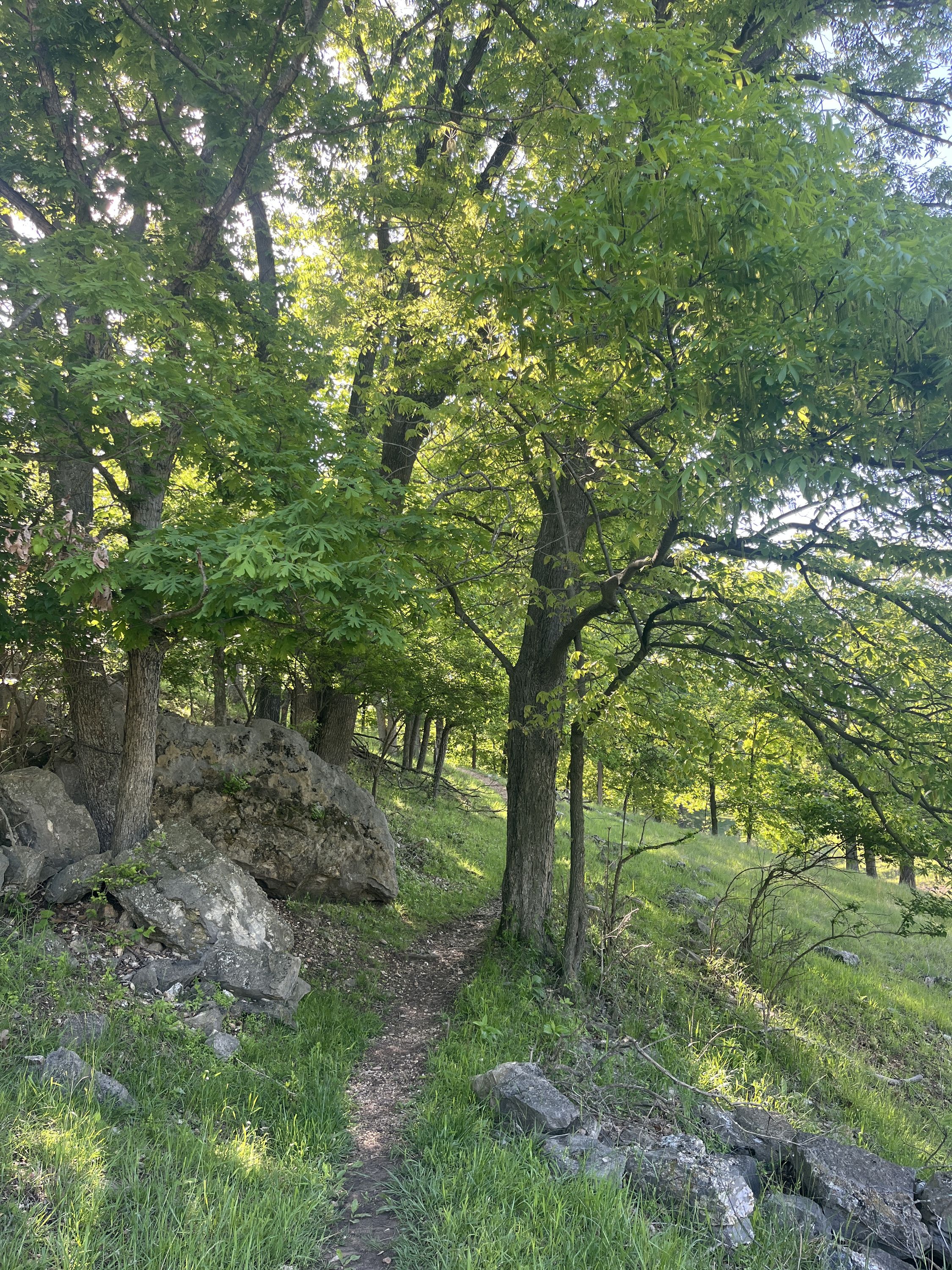 Hiking church 02