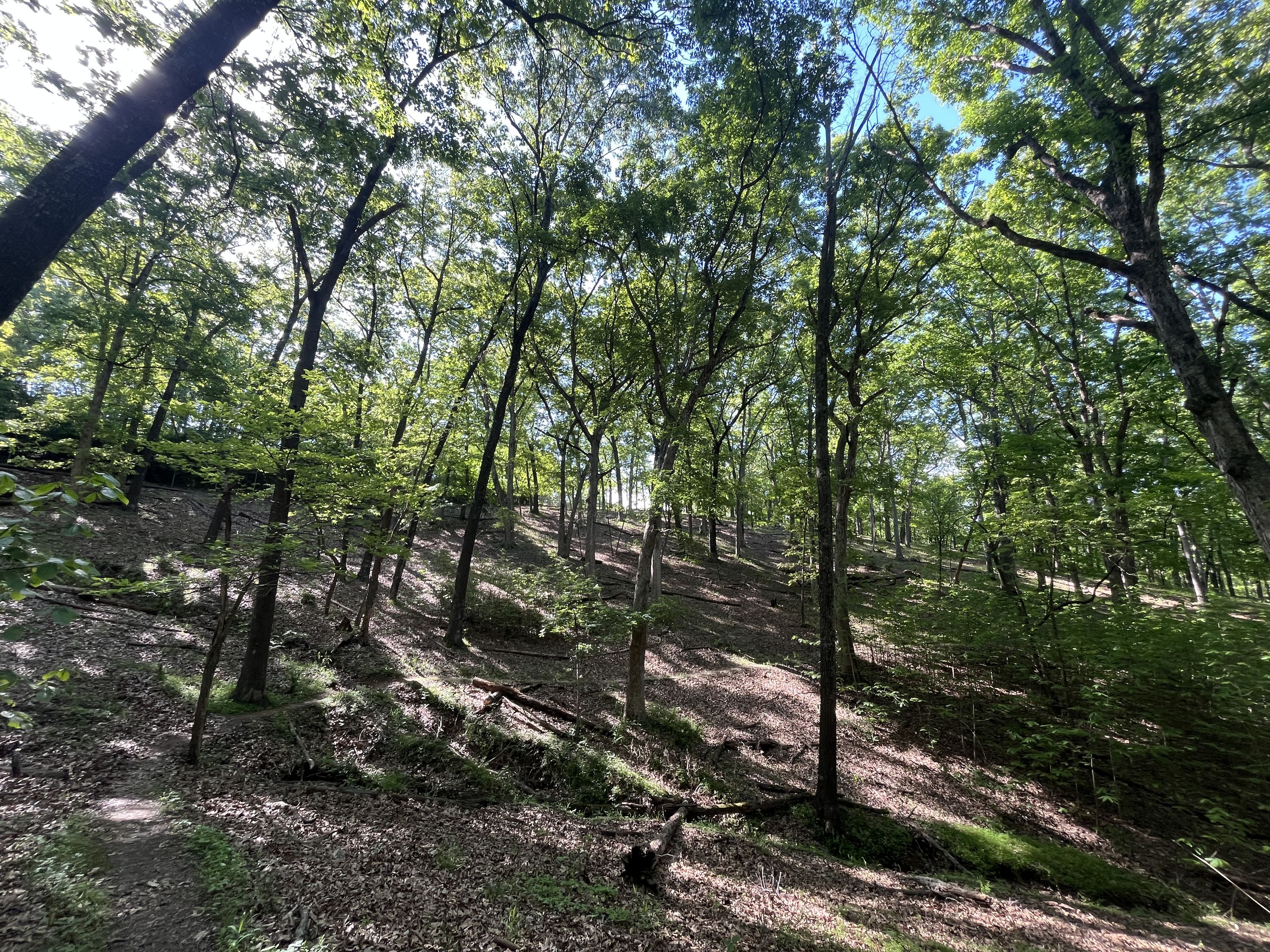 Hiking church 03
