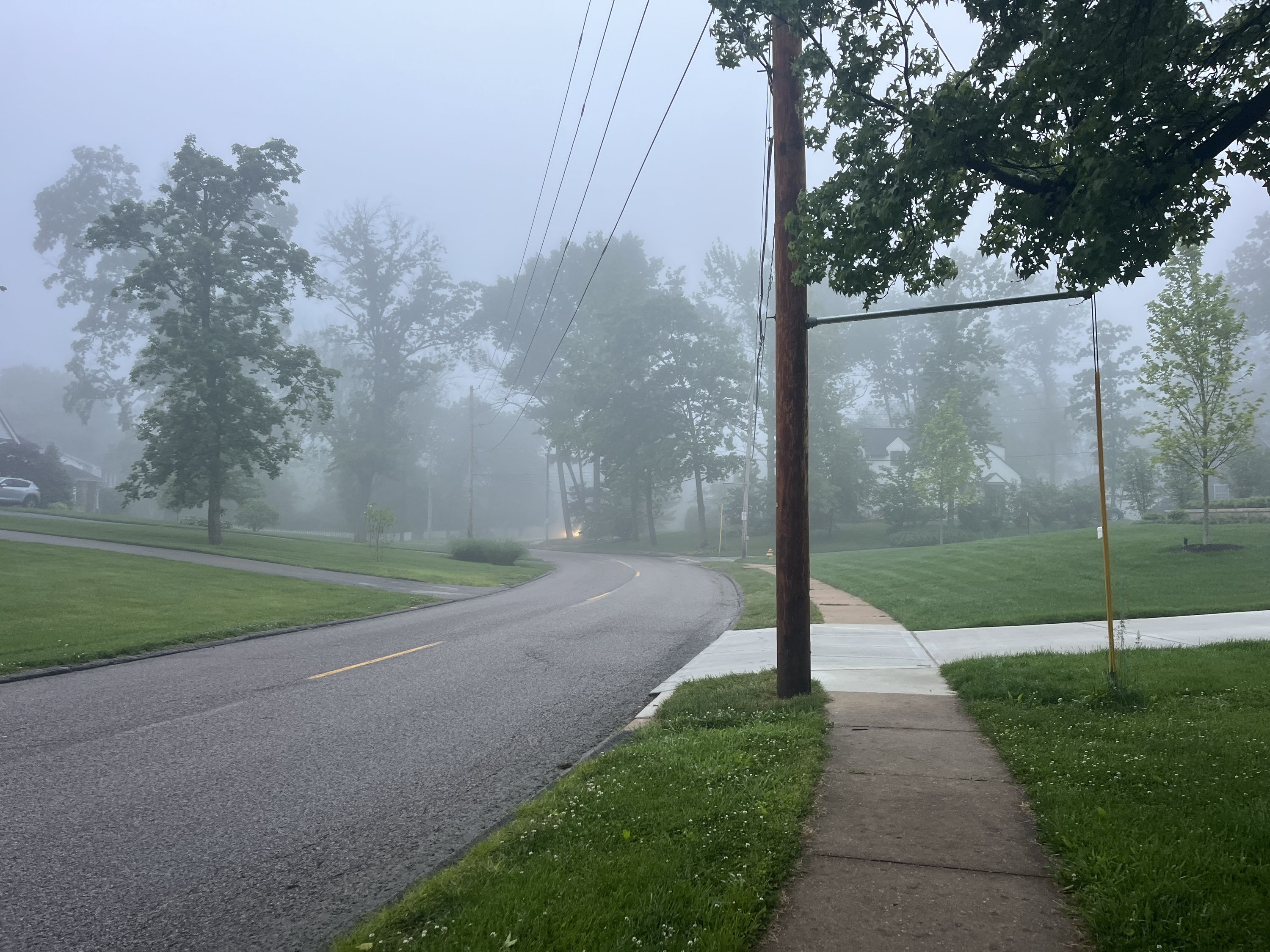 Foggy morning walk